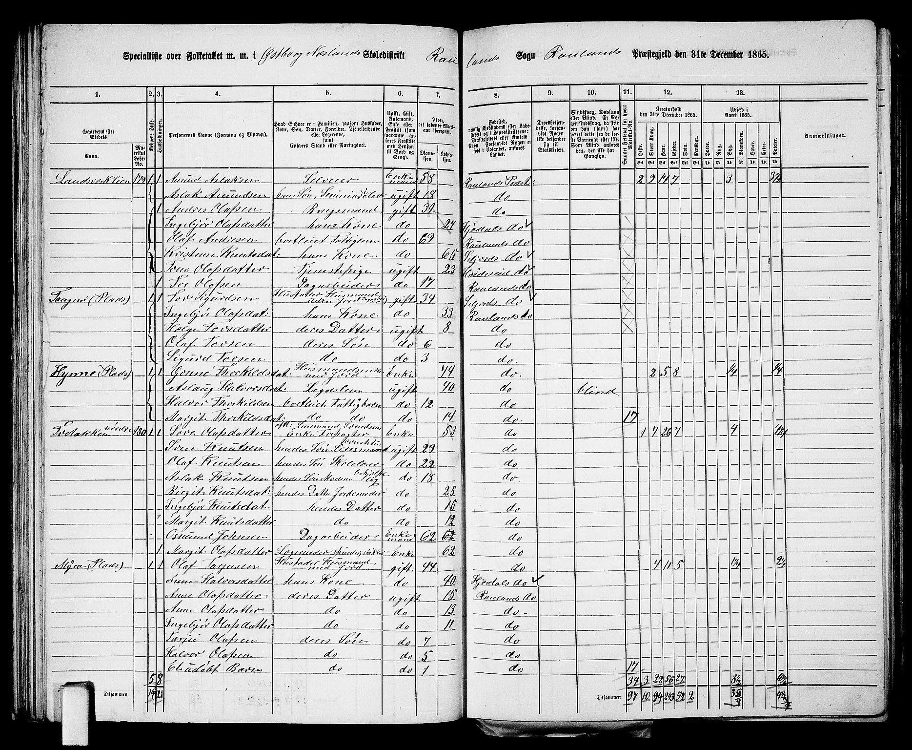 RA, 1865 census for Rauland, 1865, p. 45