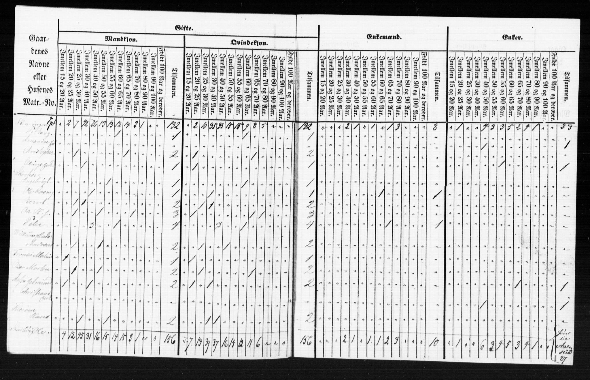 SAT, Census 1855 for Borgund, 1855, p. 100