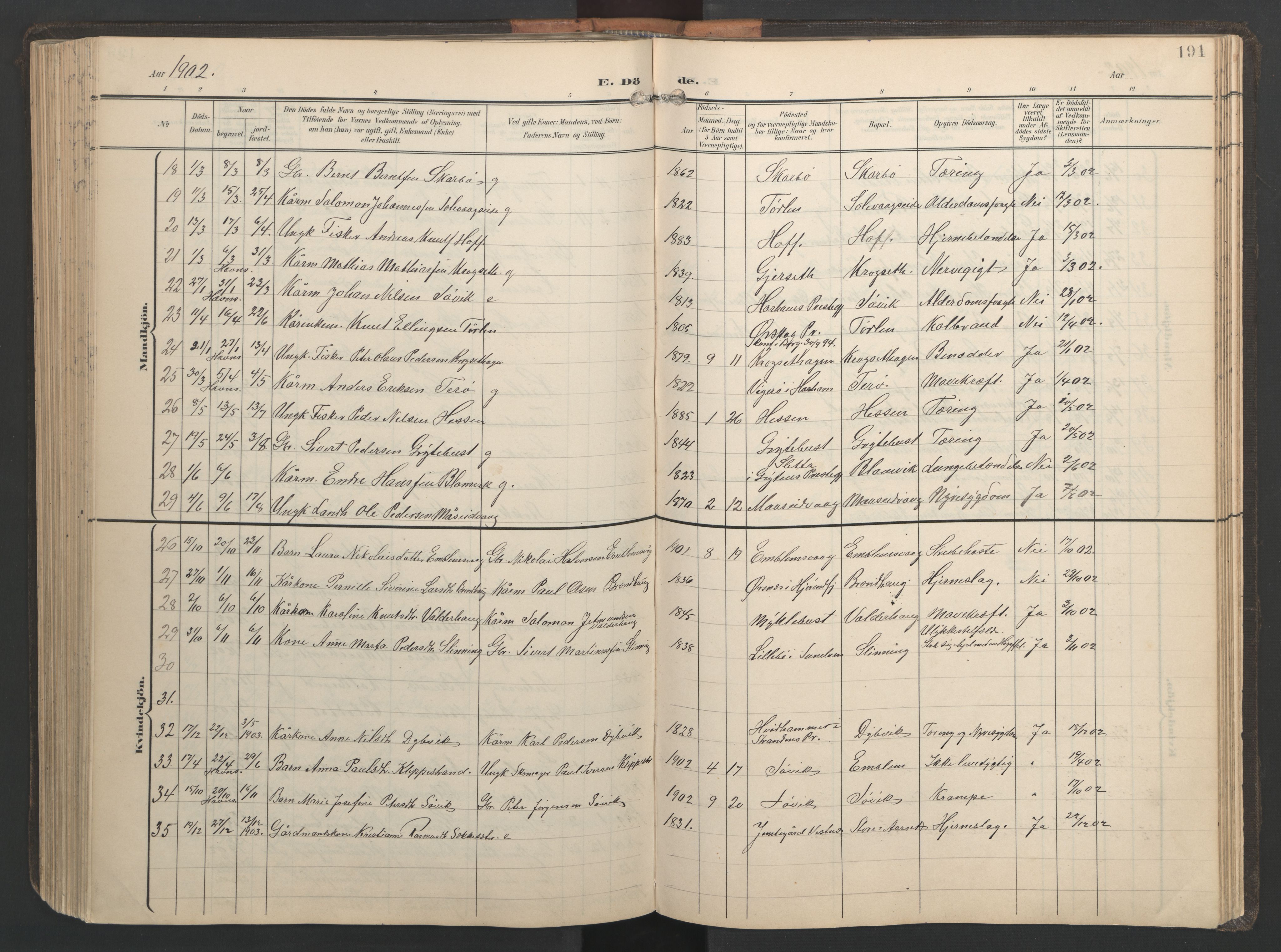 Ministerialprotokoller, klokkerbøker og fødselsregistre - Møre og Romsdal, AV/SAT-A-1454/528/L0433: Parish register (copy) no. 528C14, 1899-1922, p. 191