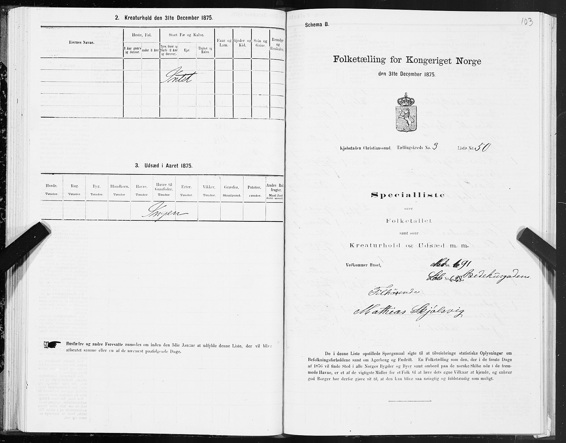 SAT, 1875 census for 1503B Kristiansund/Kristiansund, 1875, p. 3103