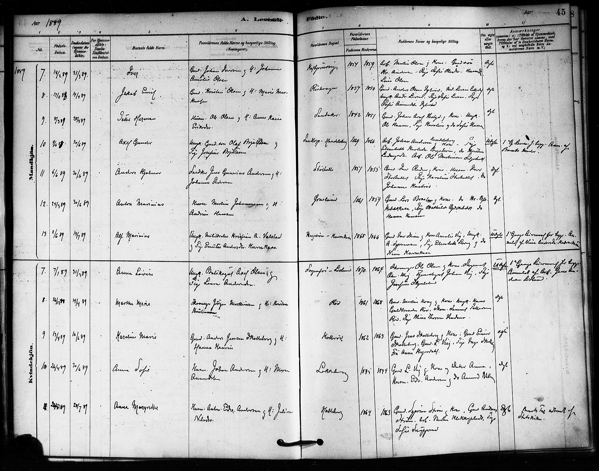 Aremark prestekontor Kirkebøker, AV/SAO-A-10899/F/Fa/L0005: Parish register (official) no. I 5, 1878-1897, p. 45