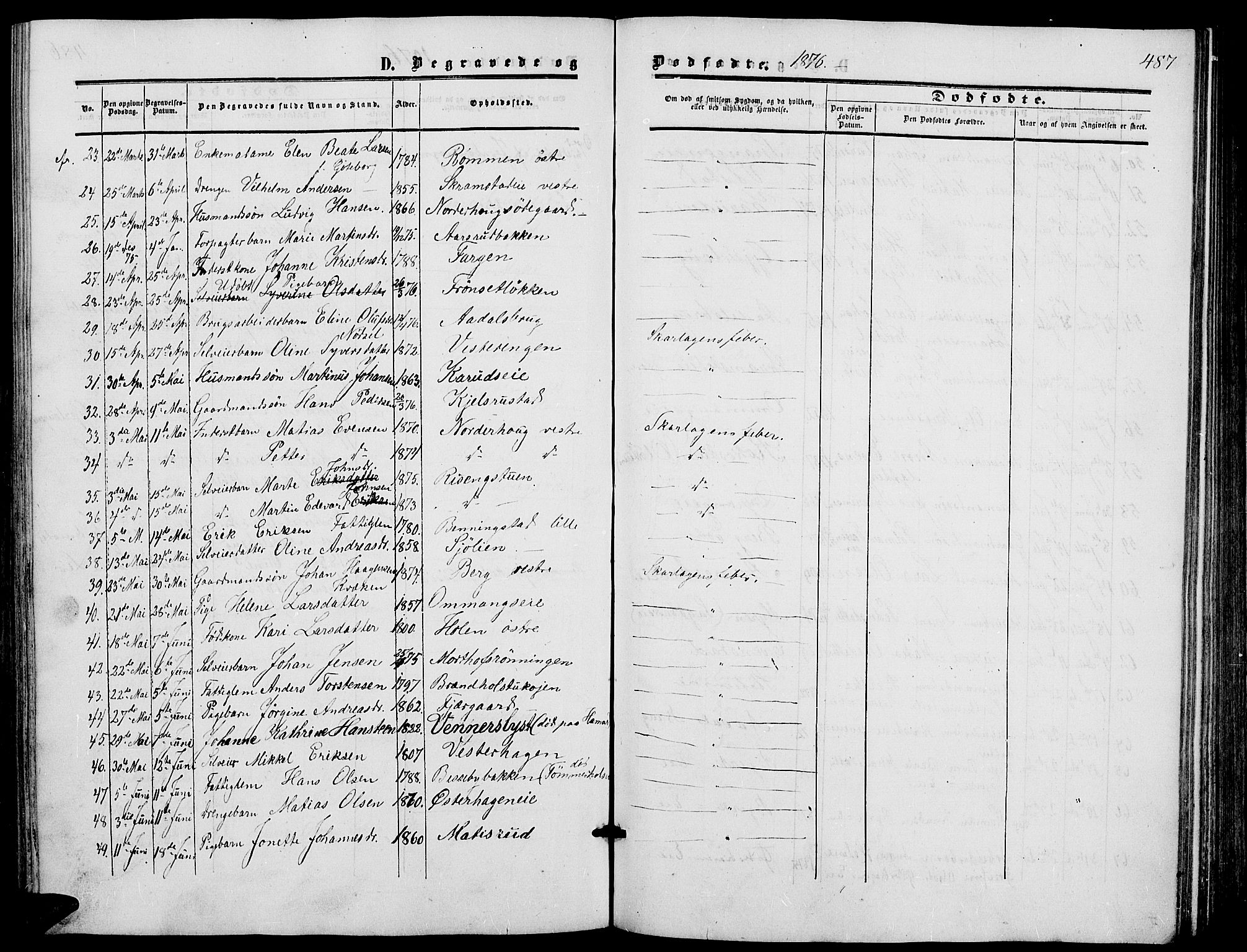 Løten prestekontor, AV/SAH-PREST-022/L/La/L0004: Parish register (copy) no. 4, 1863-1877, p. 487