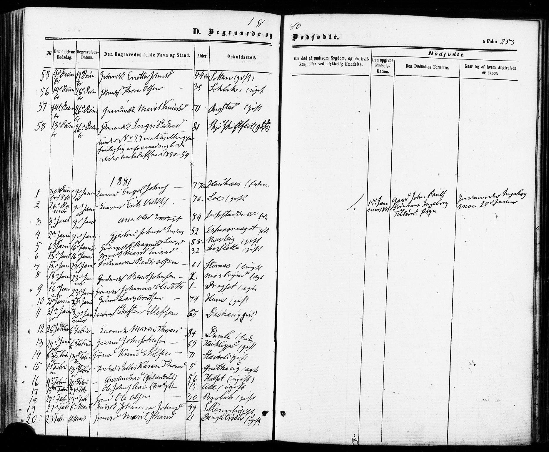 Ministerialprotokoller, klokkerbøker og fødselsregistre - Sør-Trøndelag, SAT/A-1456/672/L0856: Parish register (official) no. 672A08, 1861-1881, p. 253