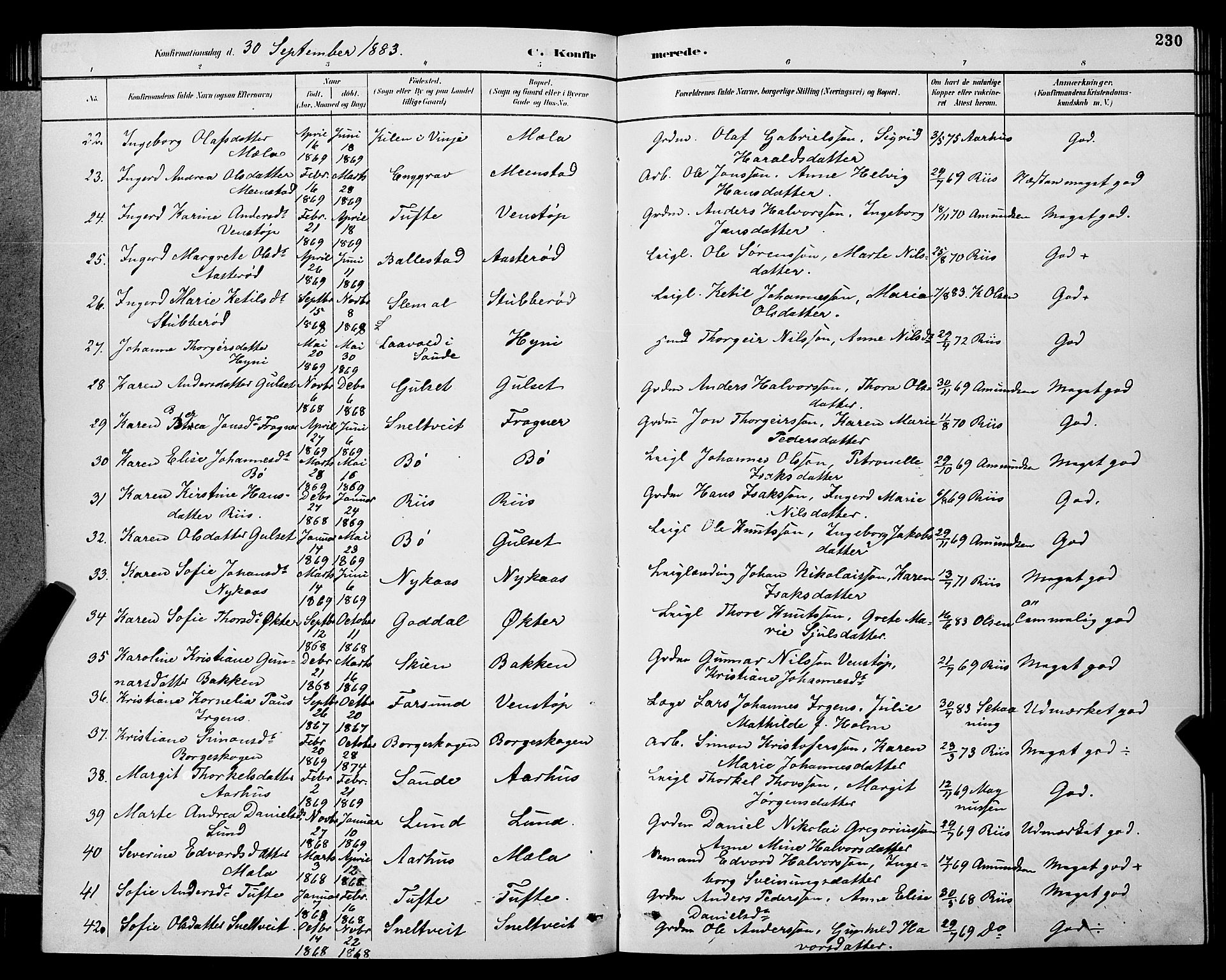 Gjerpen kirkebøker, SAKO/A-265/G/Ga/L0002: Parish register (copy) no. I 2, 1883-1900, p. 230