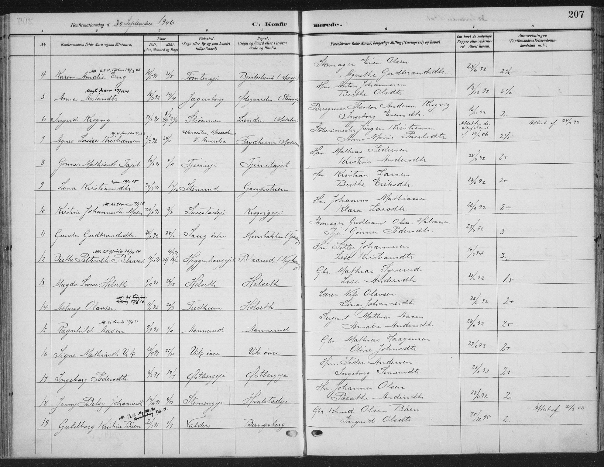 Ringsaker prestekontor, AV/SAH-PREST-014/K/Ka/L0018: Parish register (official) no. 18, 1903-1912, p. 207