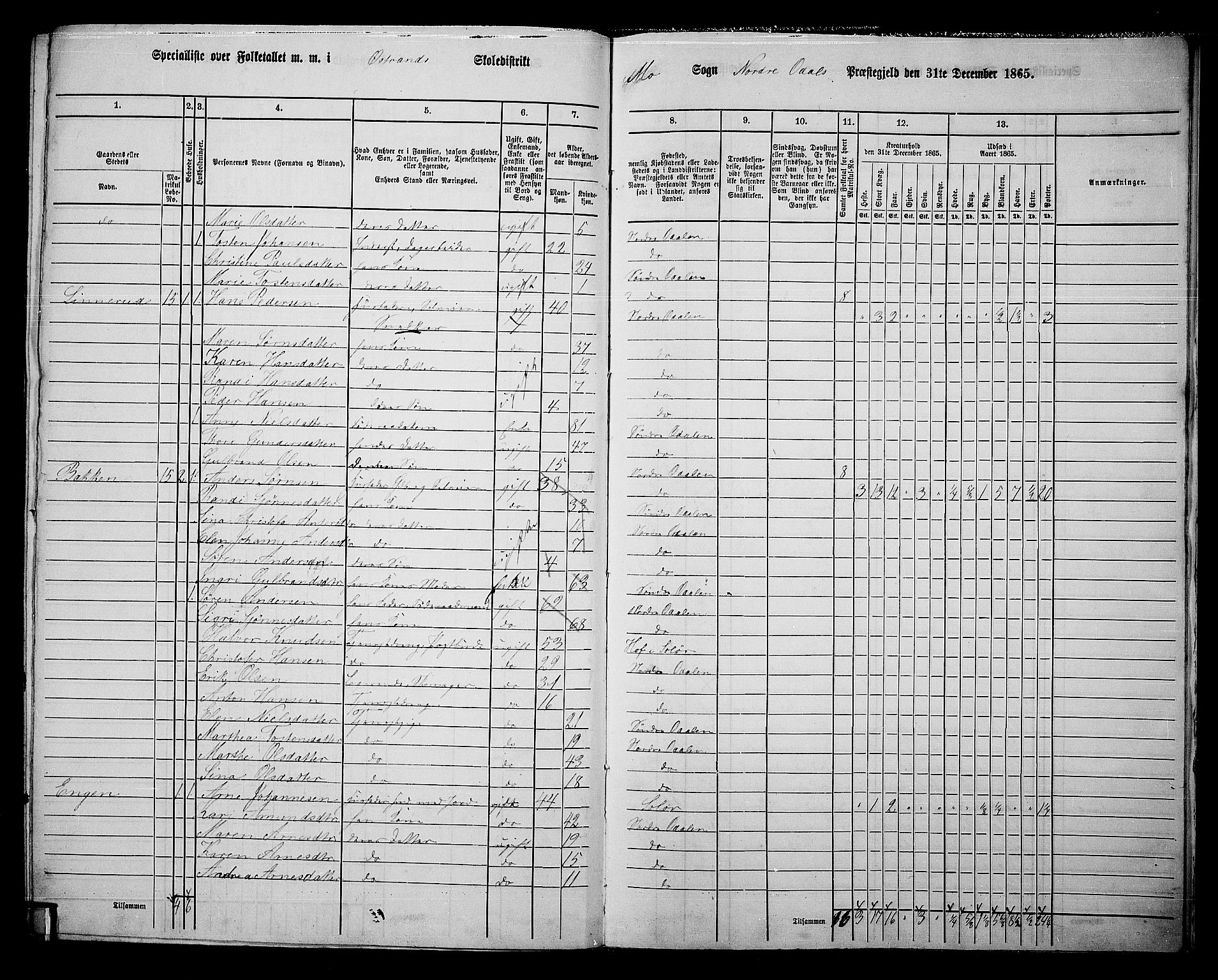 RA, 1865 census for Nord-Odal, 1865, p. 165