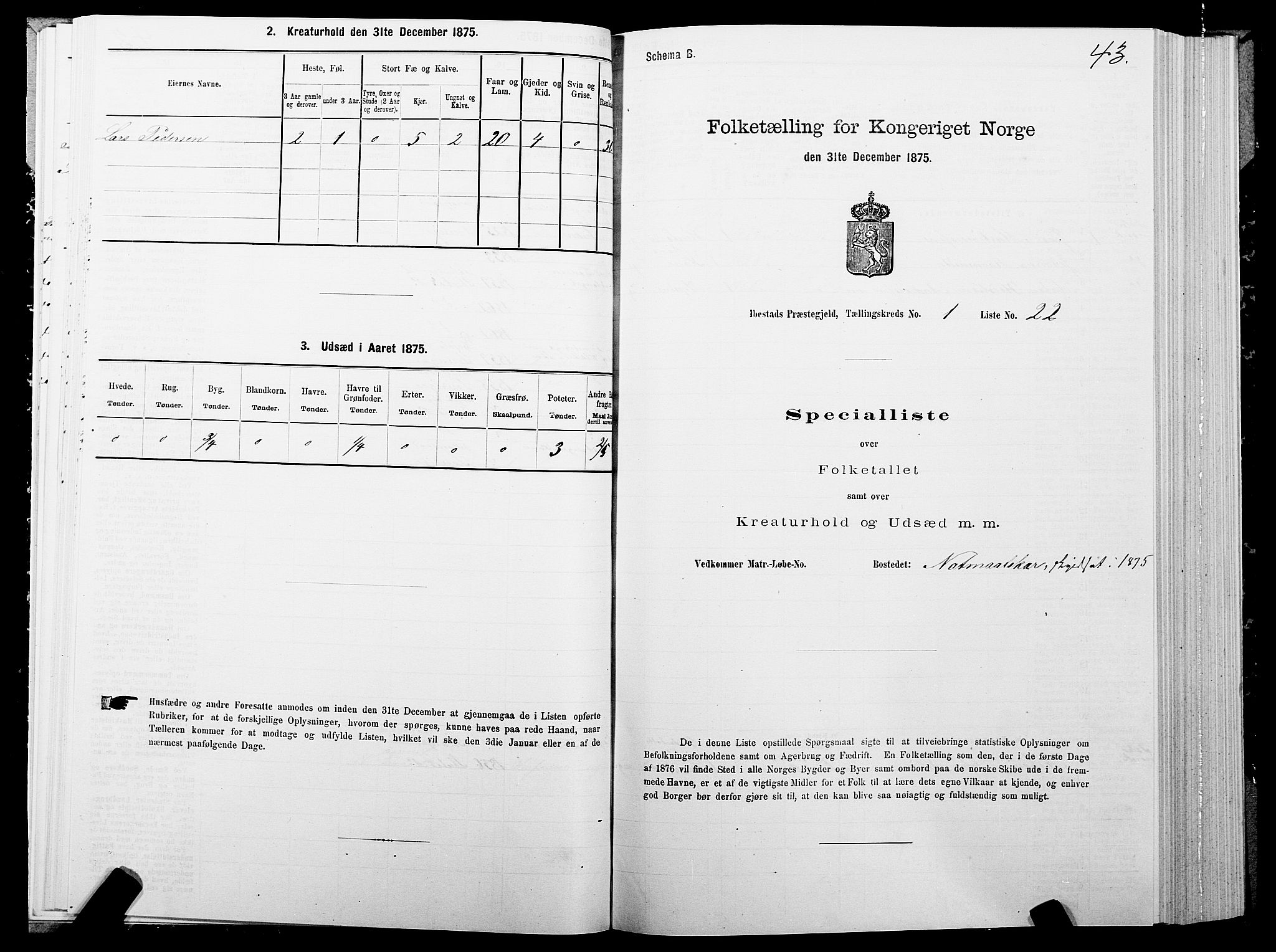 SATØ, 1875 census for 1917P Ibestad, 1875, p. 1043