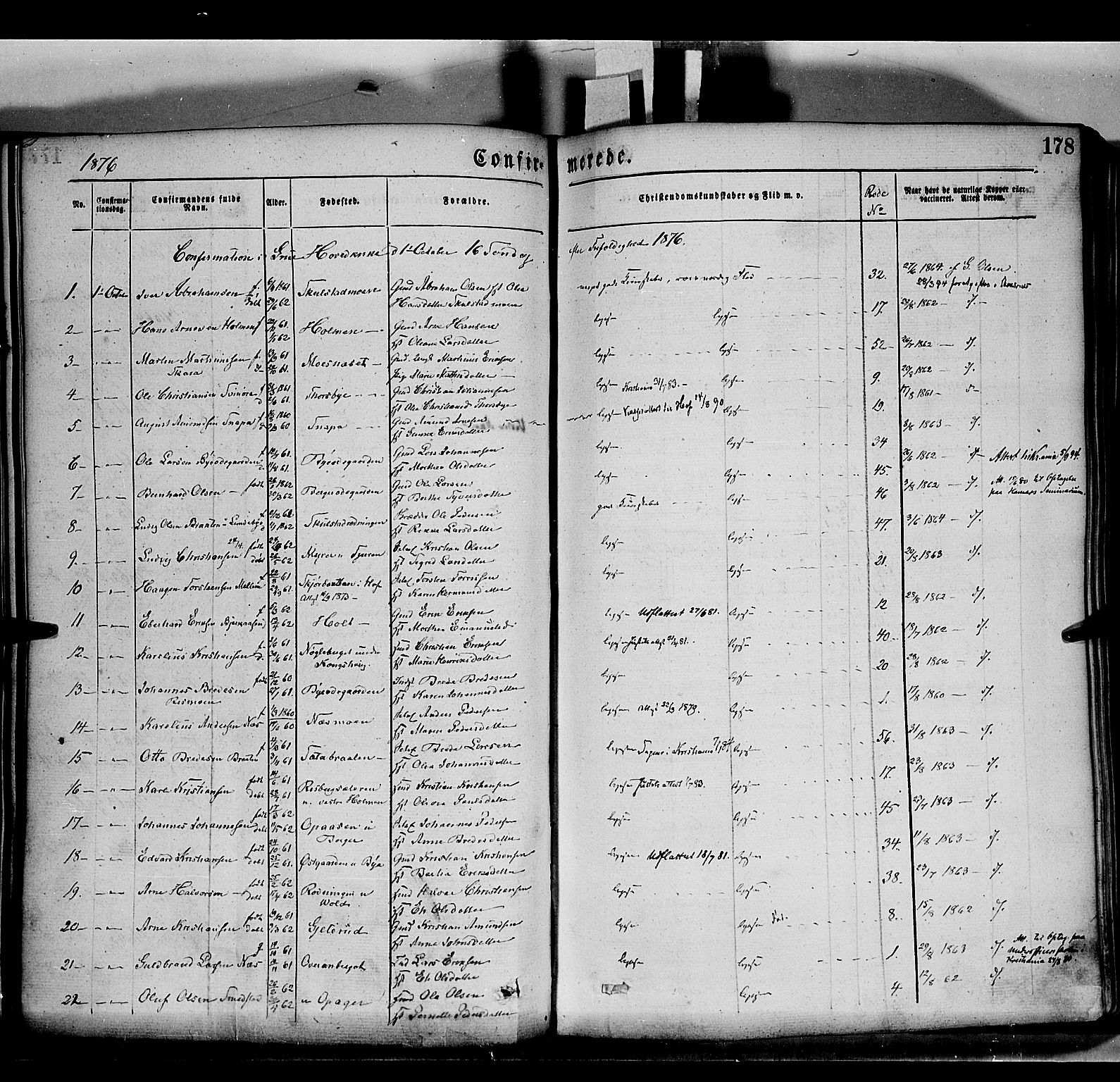 Grue prestekontor, SAH/PREST-036/H/Ha/Haa/L0011: Parish register (official) no. 11, 1873-1880, p. 178