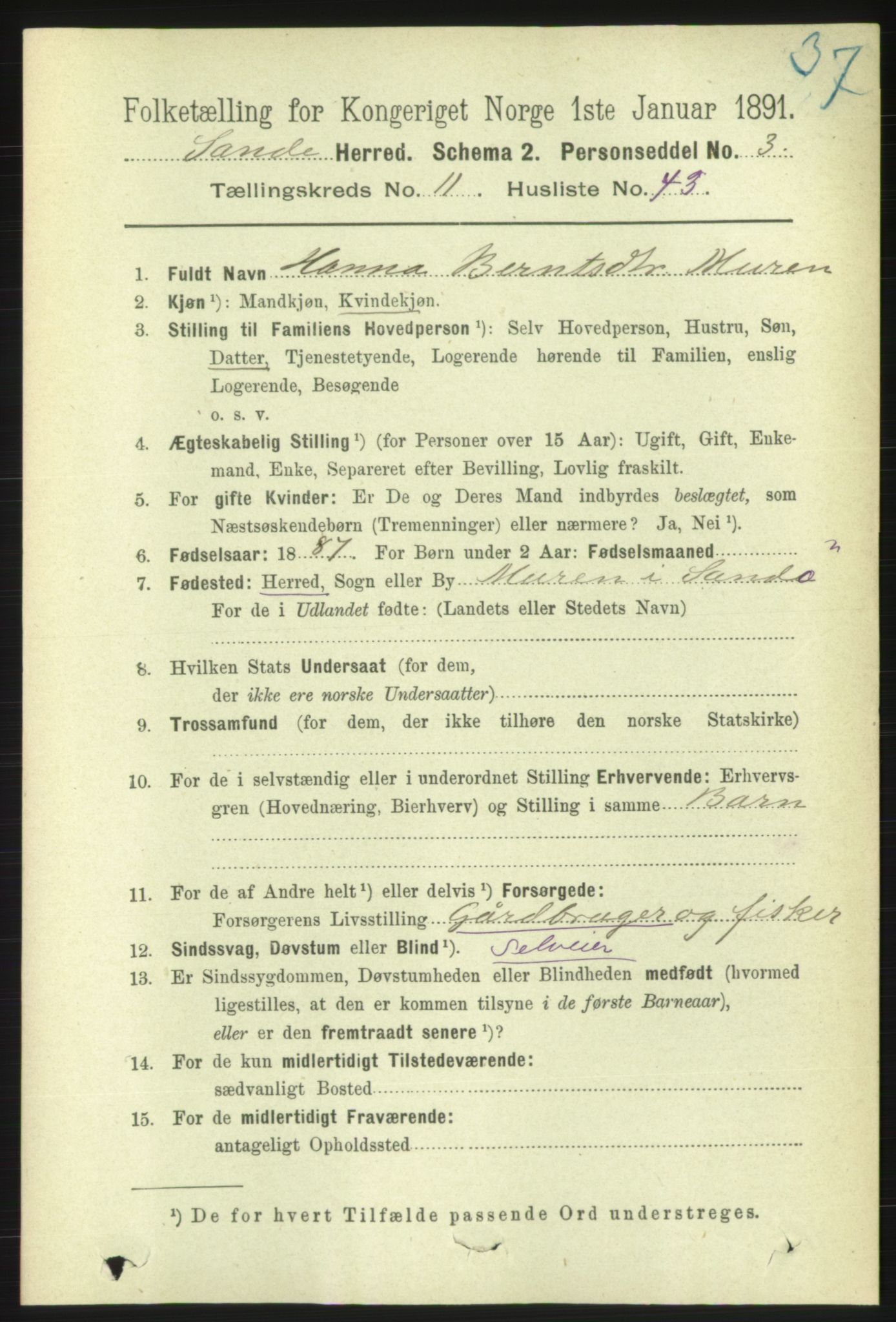 RA, 1891 census for 1514 Sande, 1891, p. 2203