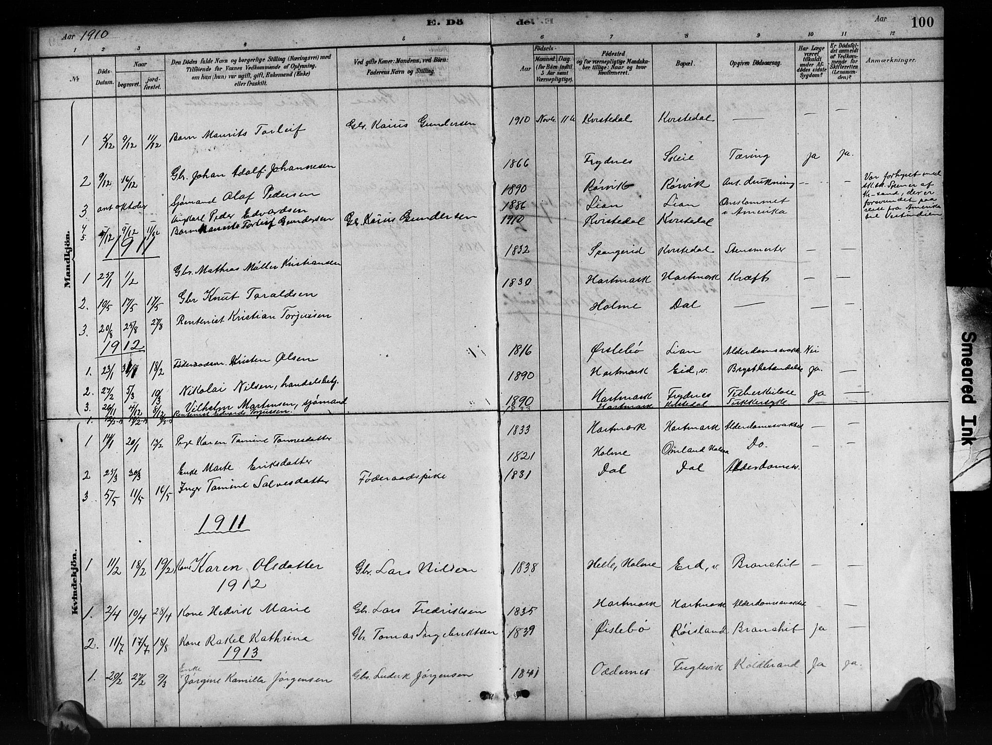 Mandal sokneprestkontor, SAK/1111-0030/F/Fb/Fbb/L0004: Parish register (copy) no. B 4, 1878-1913, p. 100