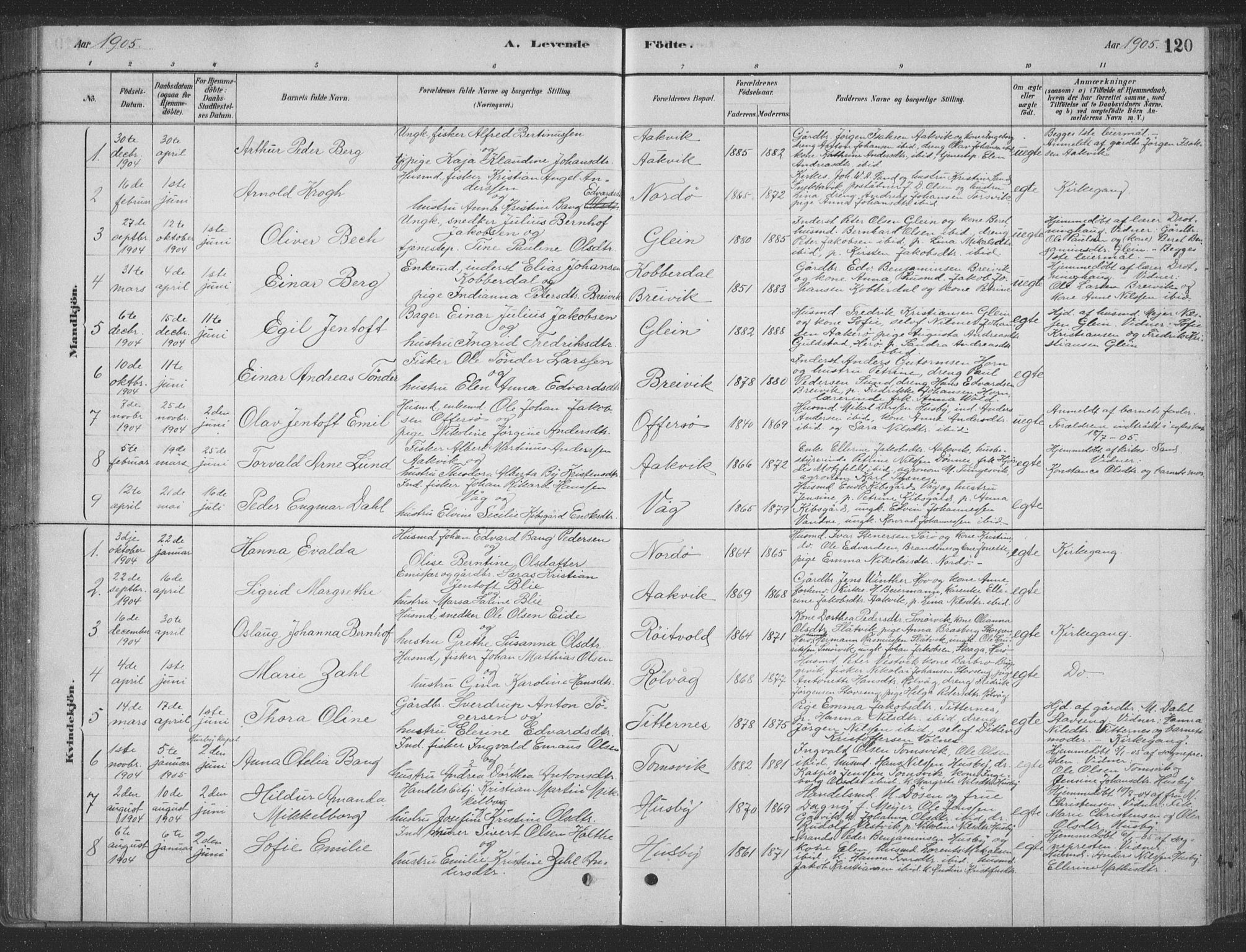 Ministerialprotokoller, klokkerbøker og fødselsregistre - Nordland, SAT/A-1459/835/L0532: Parish register (copy) no. 835C04, 1880-1905, p. 120