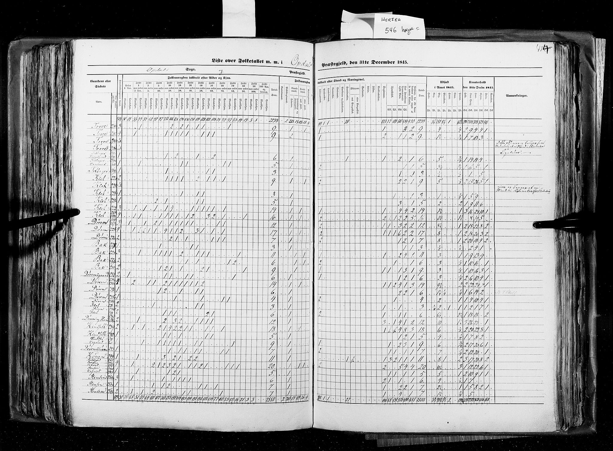 RA, Census 1845, vol. 8: Romsdal amt og Søndre Trondhjems amt, 1845, p. 424