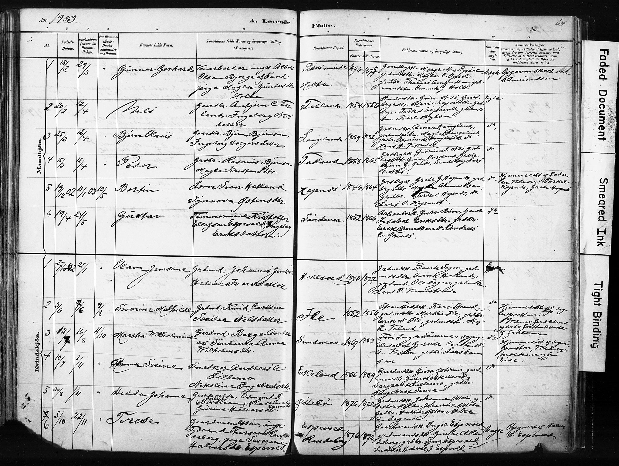 Vikedal sokneprestkontor, AV/SAST-A-101840/01/IV: Parish register (official) no. A 10, 1884-1907, p. 64