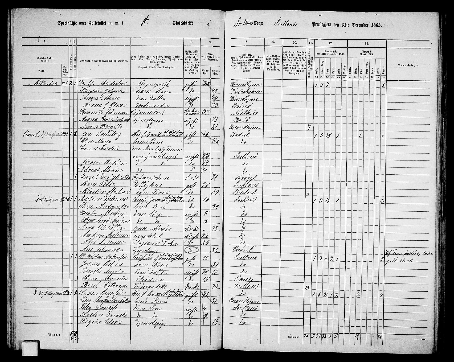 RA, 1865 census for Sortland, 1865, p. 45