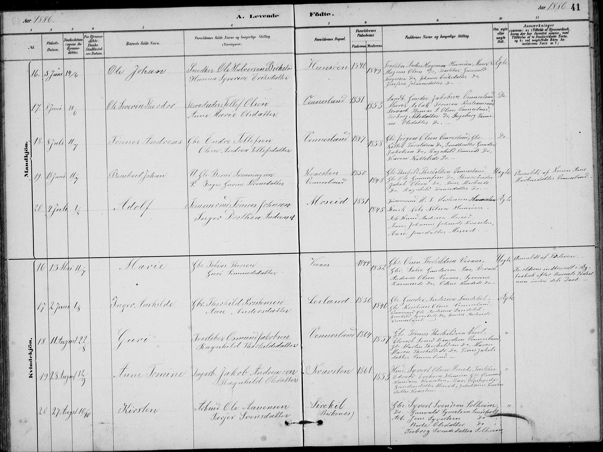 Vennesla sokneprestkontor, AV/SAK-1111-0045/Fb/Fbb/L0003: Parish register (copy) no. B 3, 1879-1893, p. 41