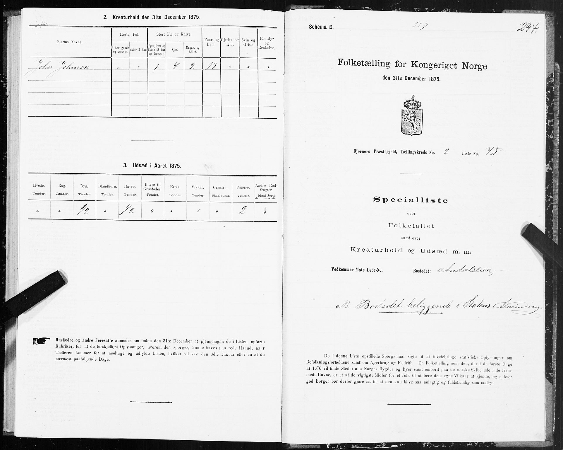 SAT, 1875 census for 1632P Bjørnør, 1875, p. 1294