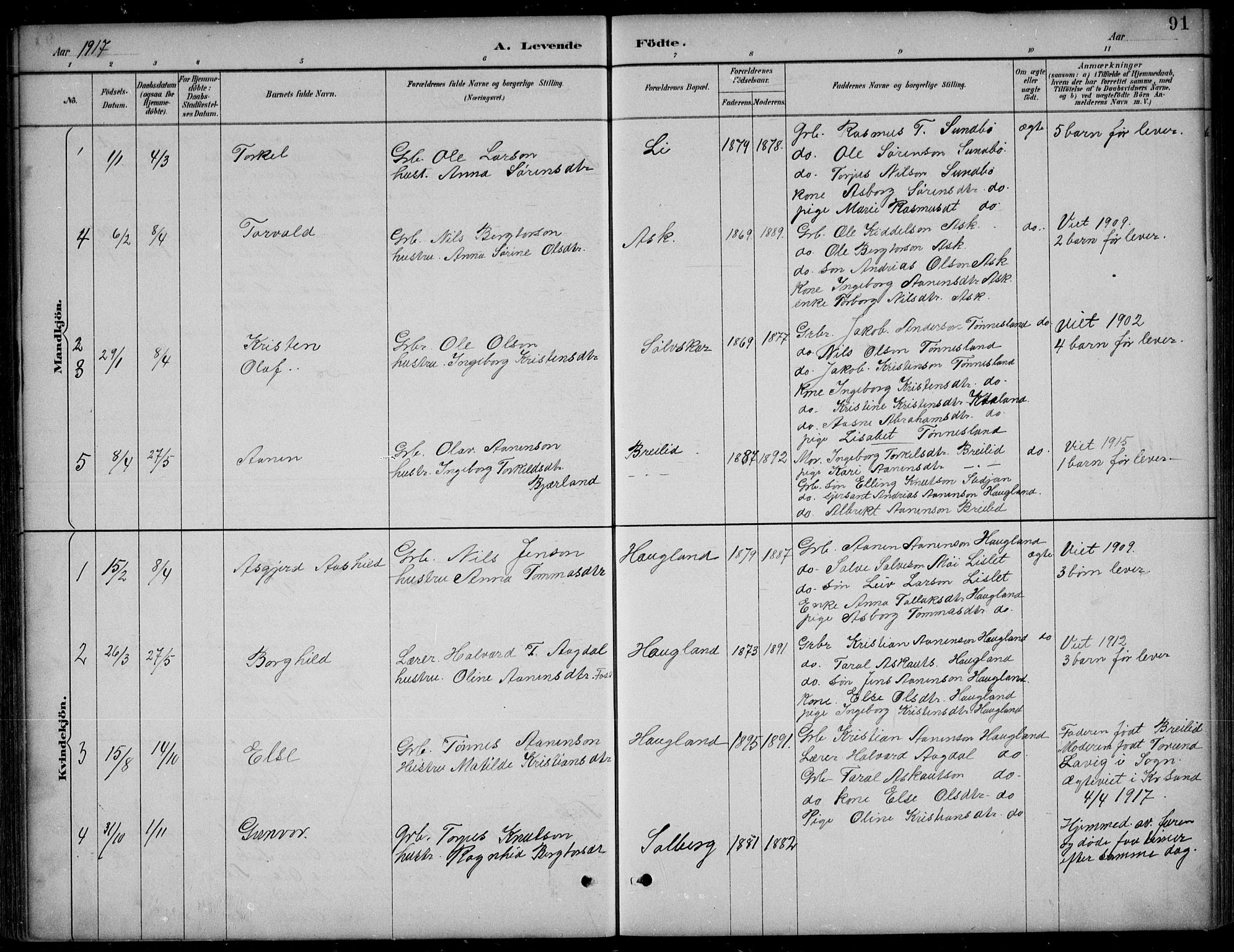 Bjelland sokneprestkontor, SAK/1111-0005/F/Fb/Fba/L0005: Parish register (copy) no. B 5, 1887-1923, p. 91