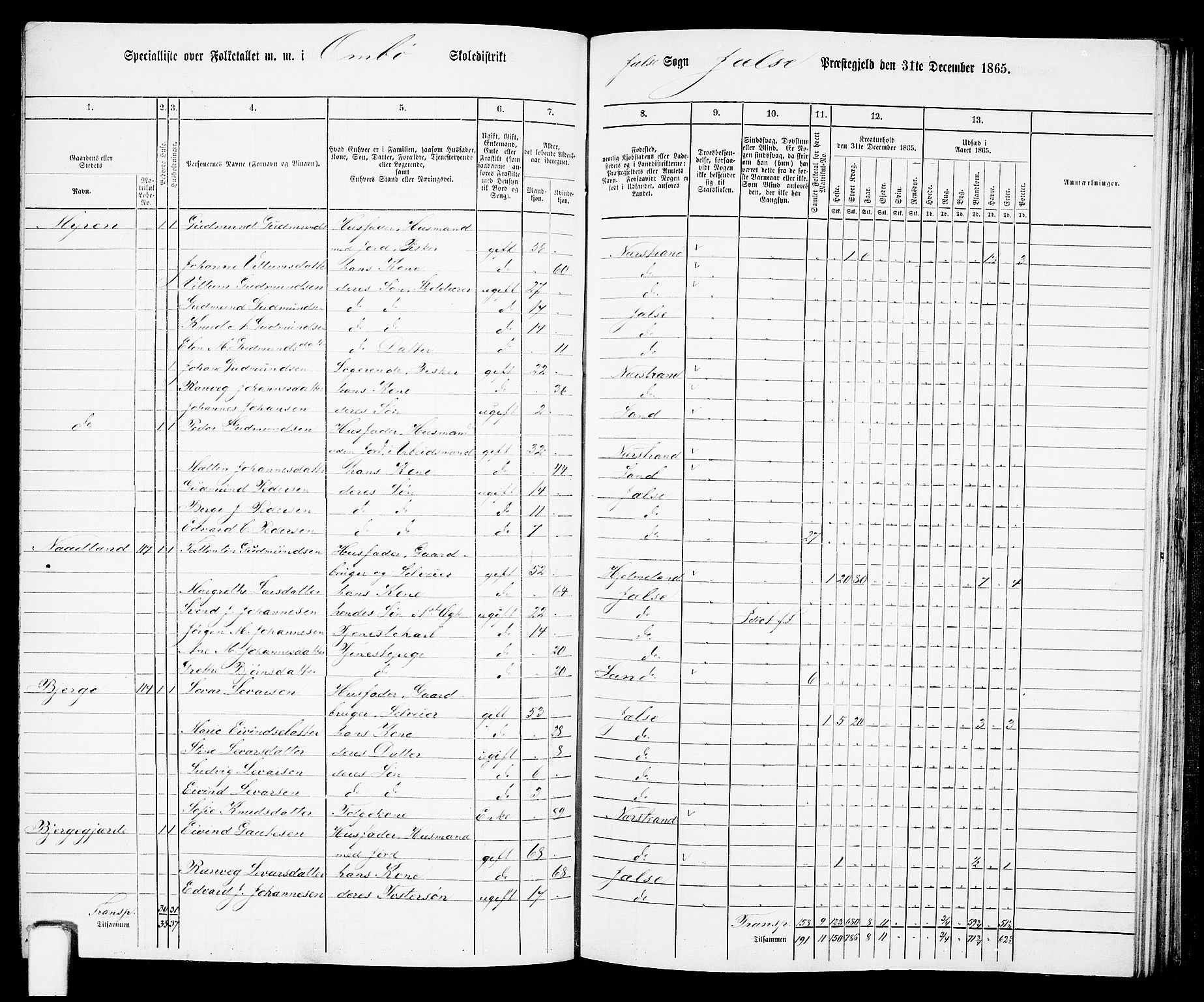 RA, 1865 census for Jelsa, 1865, p. 70