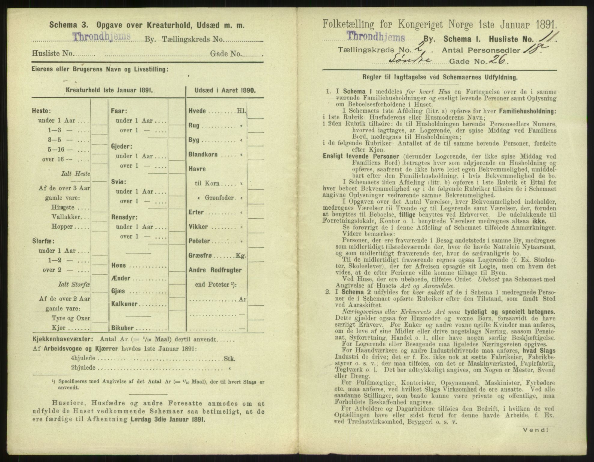 RA, 1891 census for 1601 Trondheim, 1891, p. 256