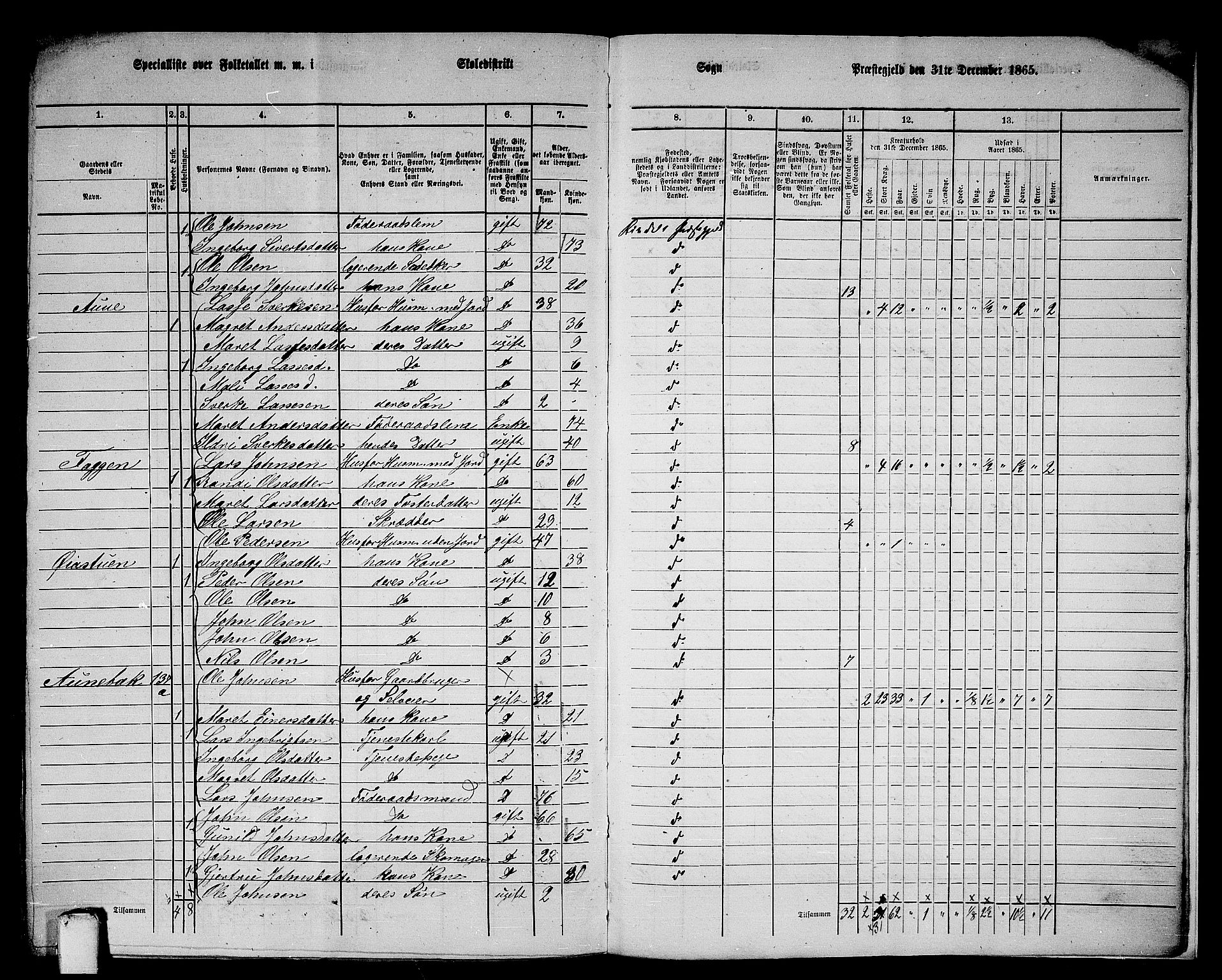 RA, 1865 census for Rindal, 1865, p. 111