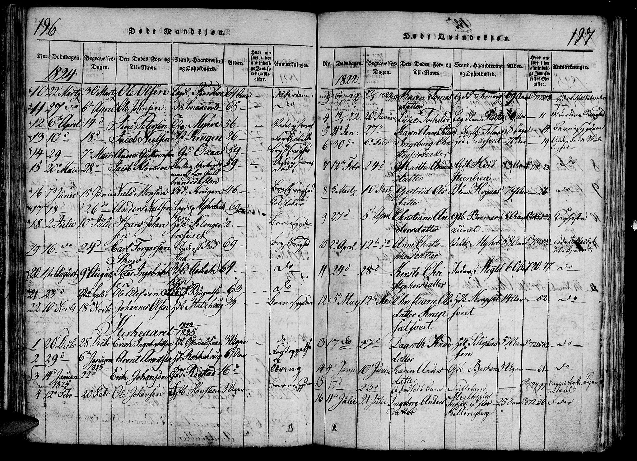 Ministerialprotokoller, klokkerbøker og fødselsregistre - Nord-Trøndelag, AV/SAT-A-1458/701/L0005: Parish register (official) no. 701A05 /1, 1816-1825, p. 196-197