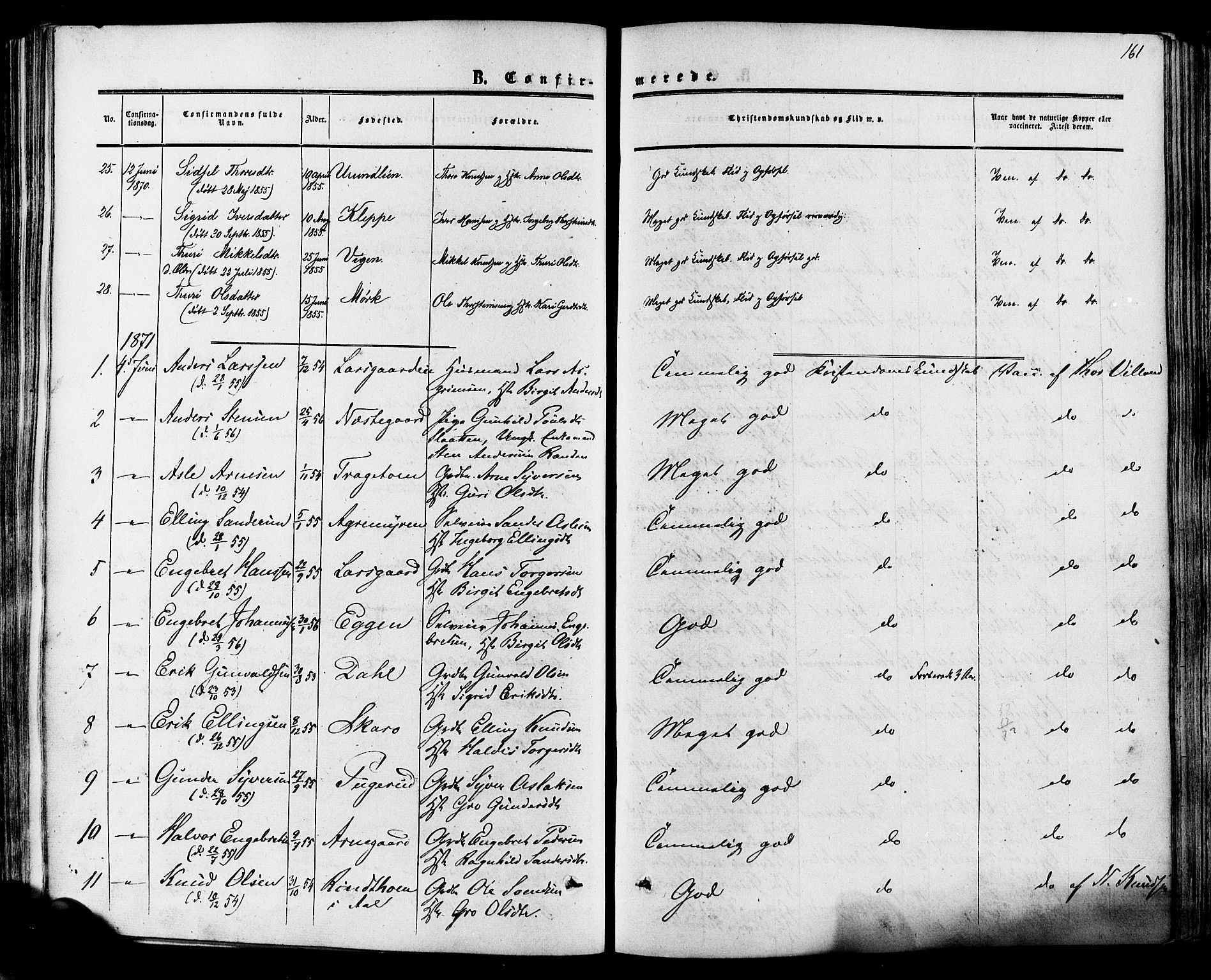 Hol kirkebøker, SAKO/A-227/F/Fa/L0002: Parish register (official) no. I 2, 1870-1886, p. 161
