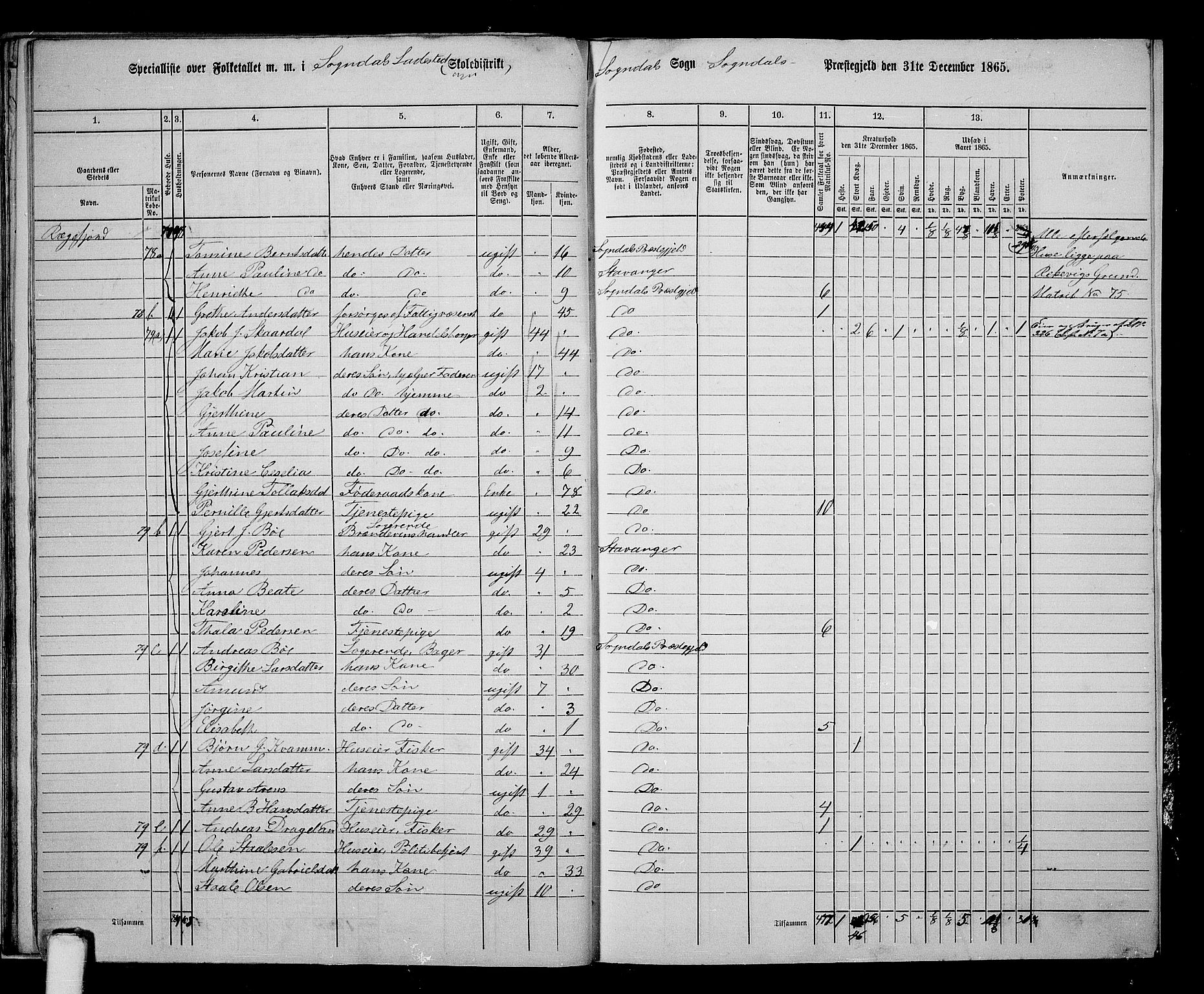 RA, 1865 census for Sokndal, 1865, p. 154