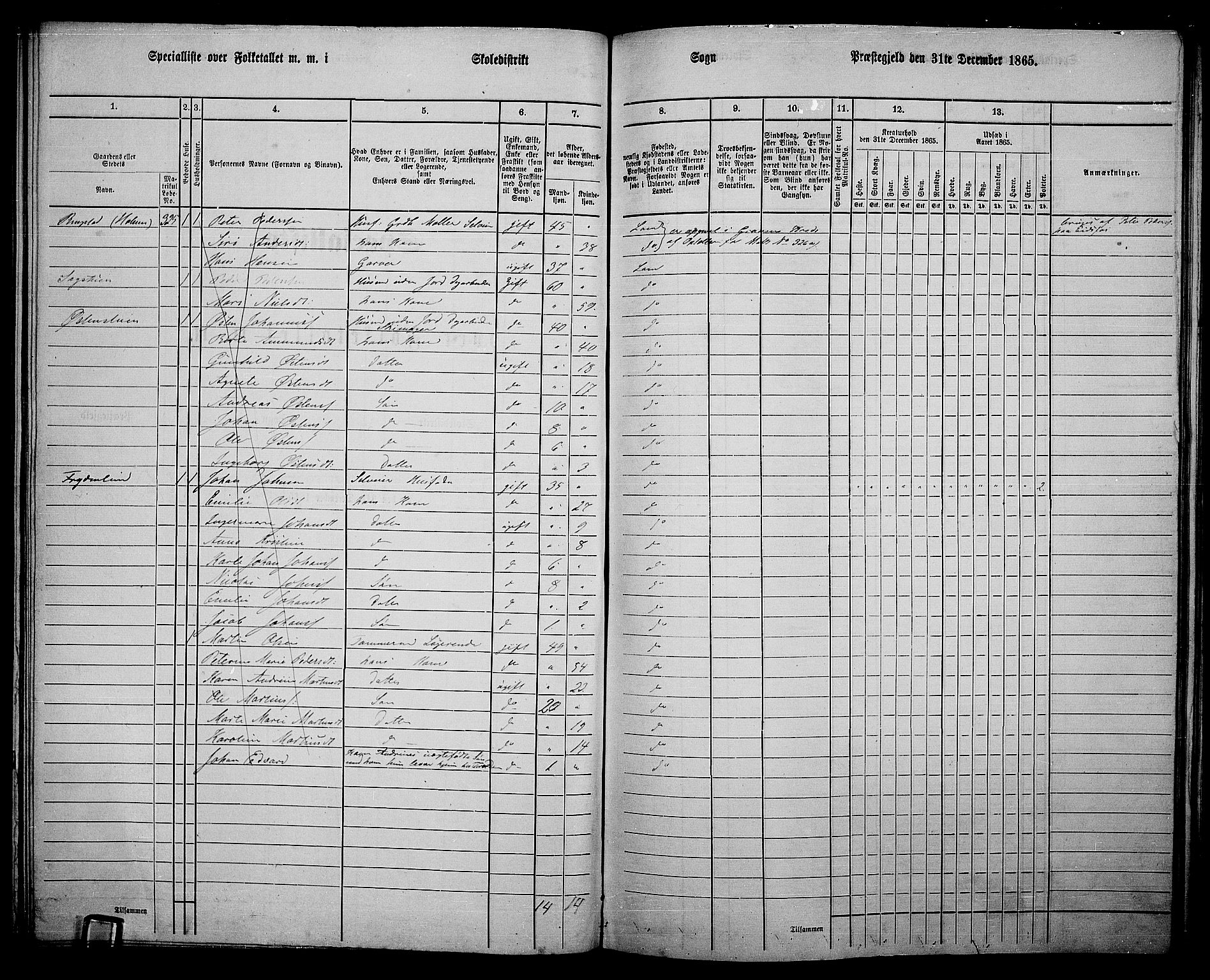 RA, 1865 census for Land, 1865, p. 356