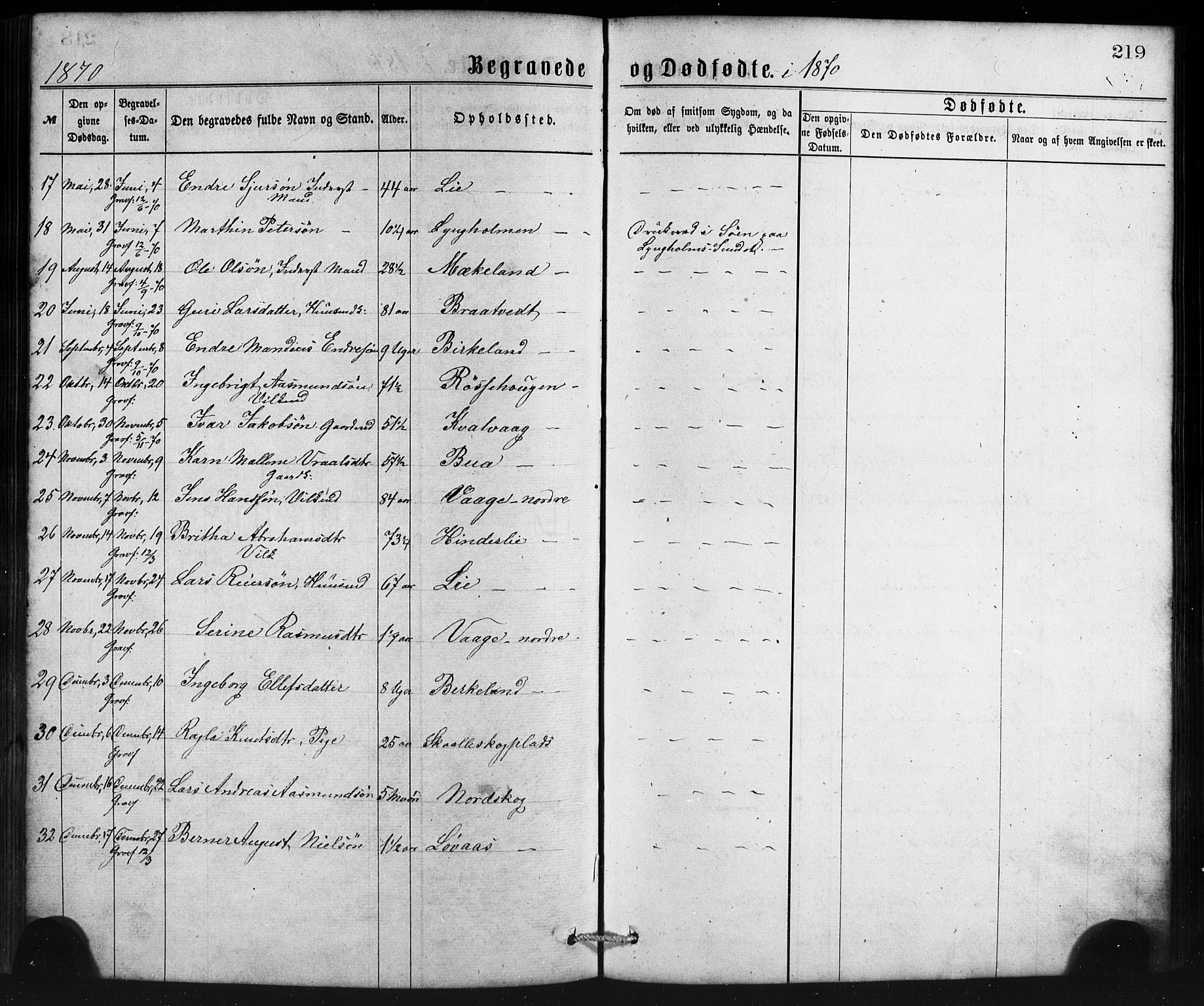 Sveio Sokneprestembete, SAB/A-78501/H/Haa: Parish register (official) no. B 1, 1870-1883, p. 219