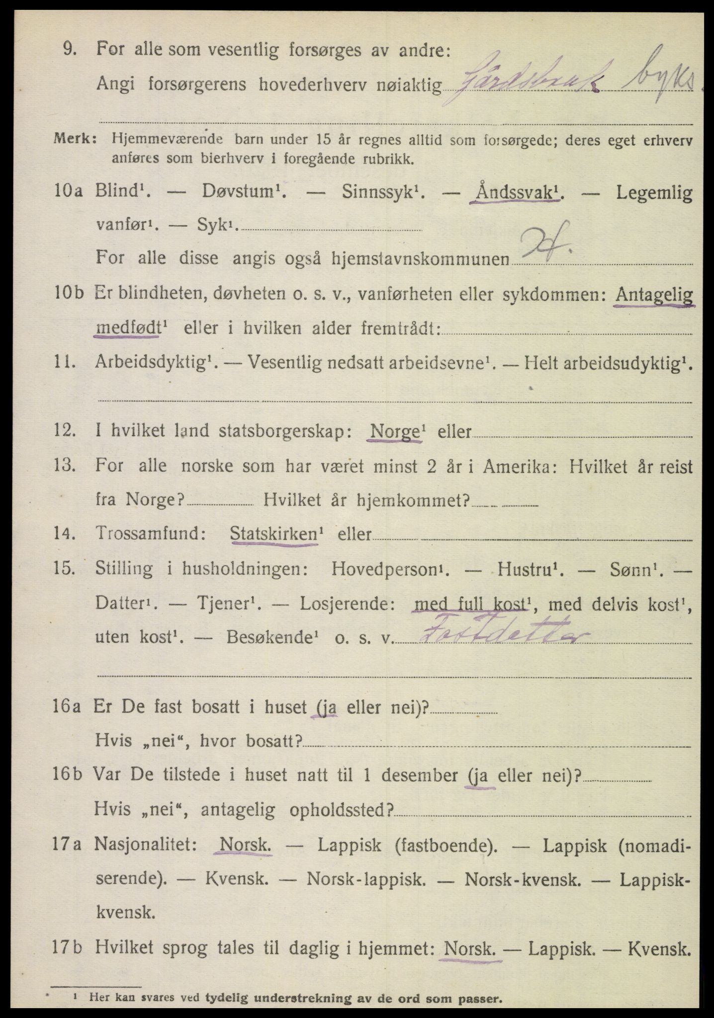 SAT, 1920 census for Hattfjelldal, 1920, p. 2119