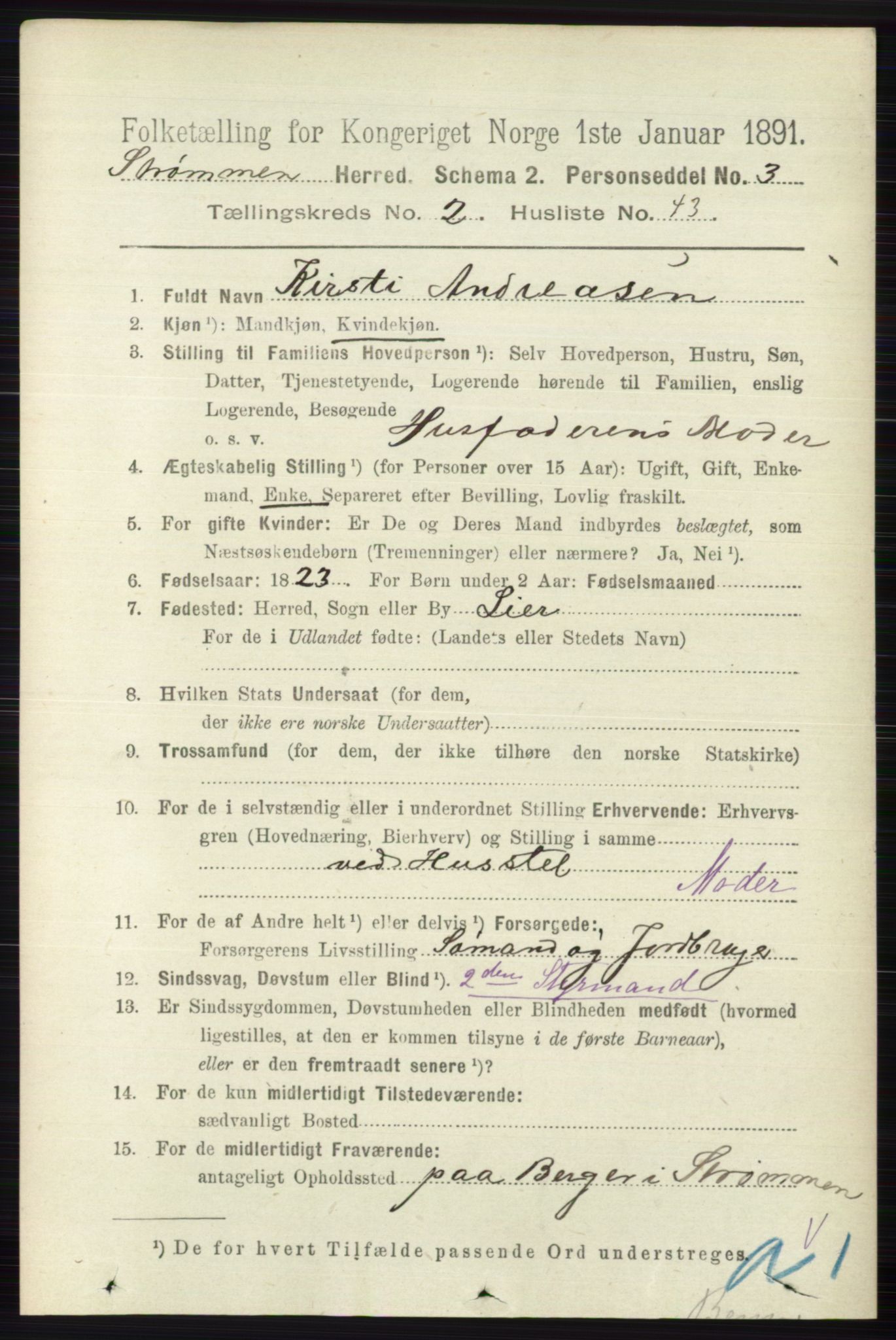 RA, 1891 census for 0711 Strømm, 1891, p. 958