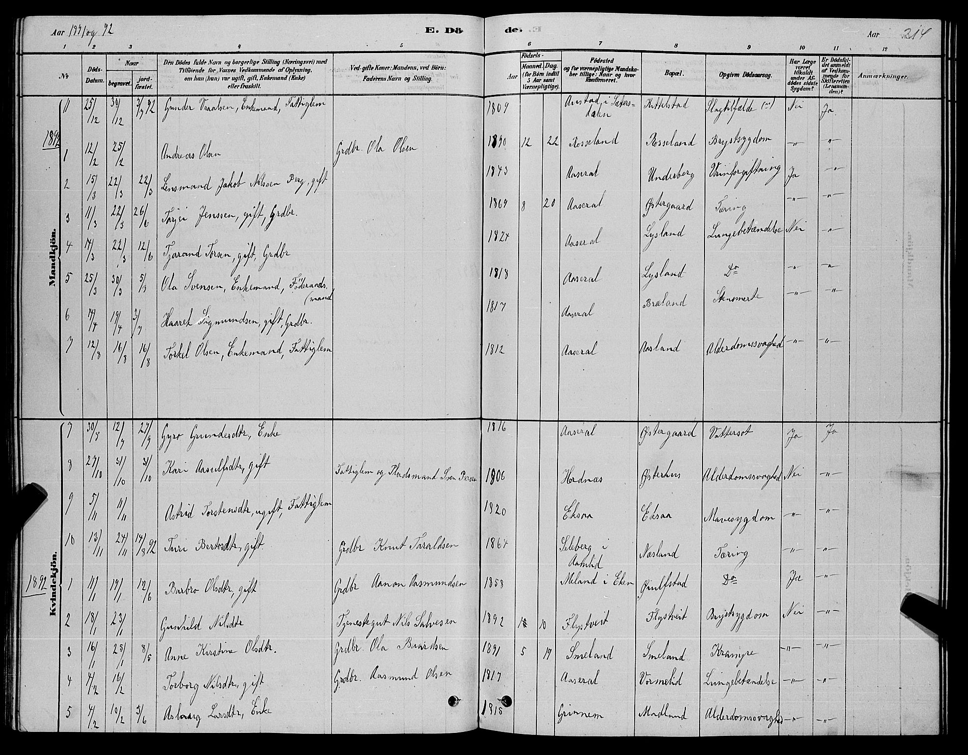 Åseral sokneprestkontor, AV/SAK-1111-0051/F/Fb/L0002: Parish register (copy) no. B 2, 1878-1899, p. 214