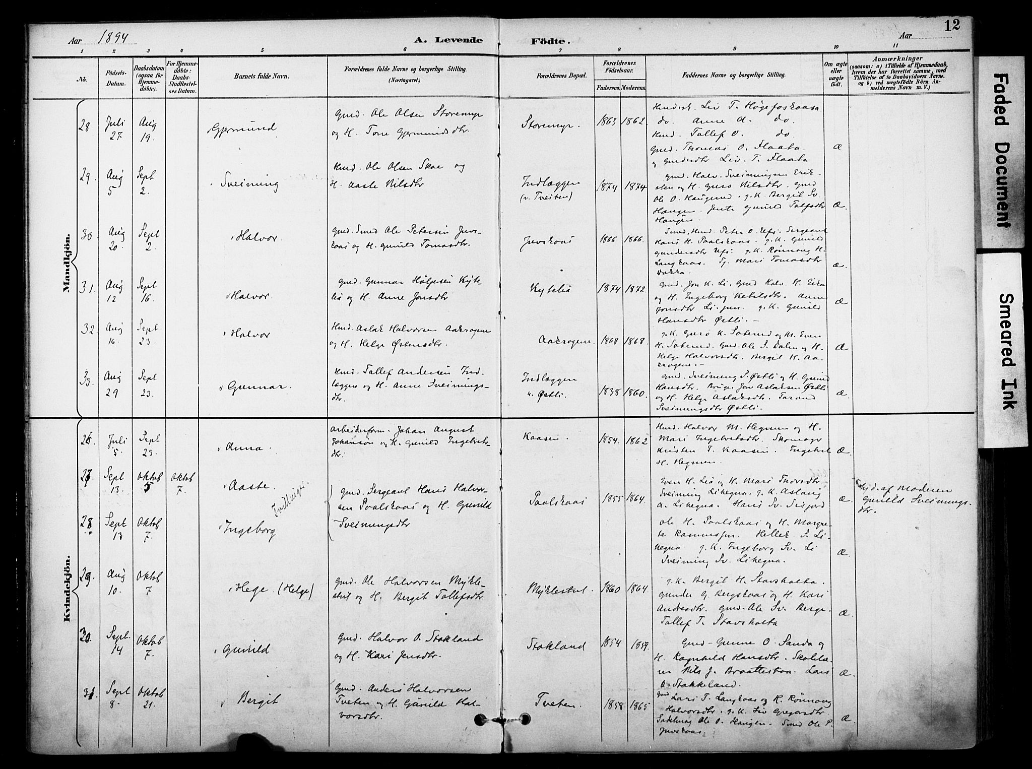 Bø kirkebøker, AV/SAKO-A-257/F/Fa/L0011: Parish register (official) no. 11, 1892-1900, p. 12