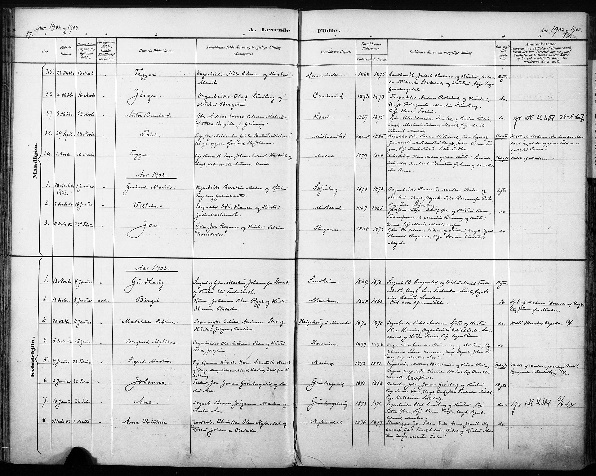 Ministerialprotokoller, klokkerbøker og fødselsregistre - Sør-Trøndelag, SAT/A-1456/616/L0411: Parish register (official) no. 616A08, 1894-1906, p. 87-88
