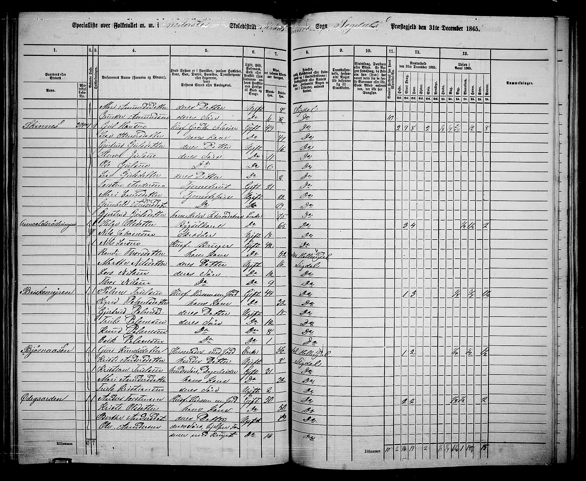 RA, 1865 census for Sigdal, 1865, p. 201