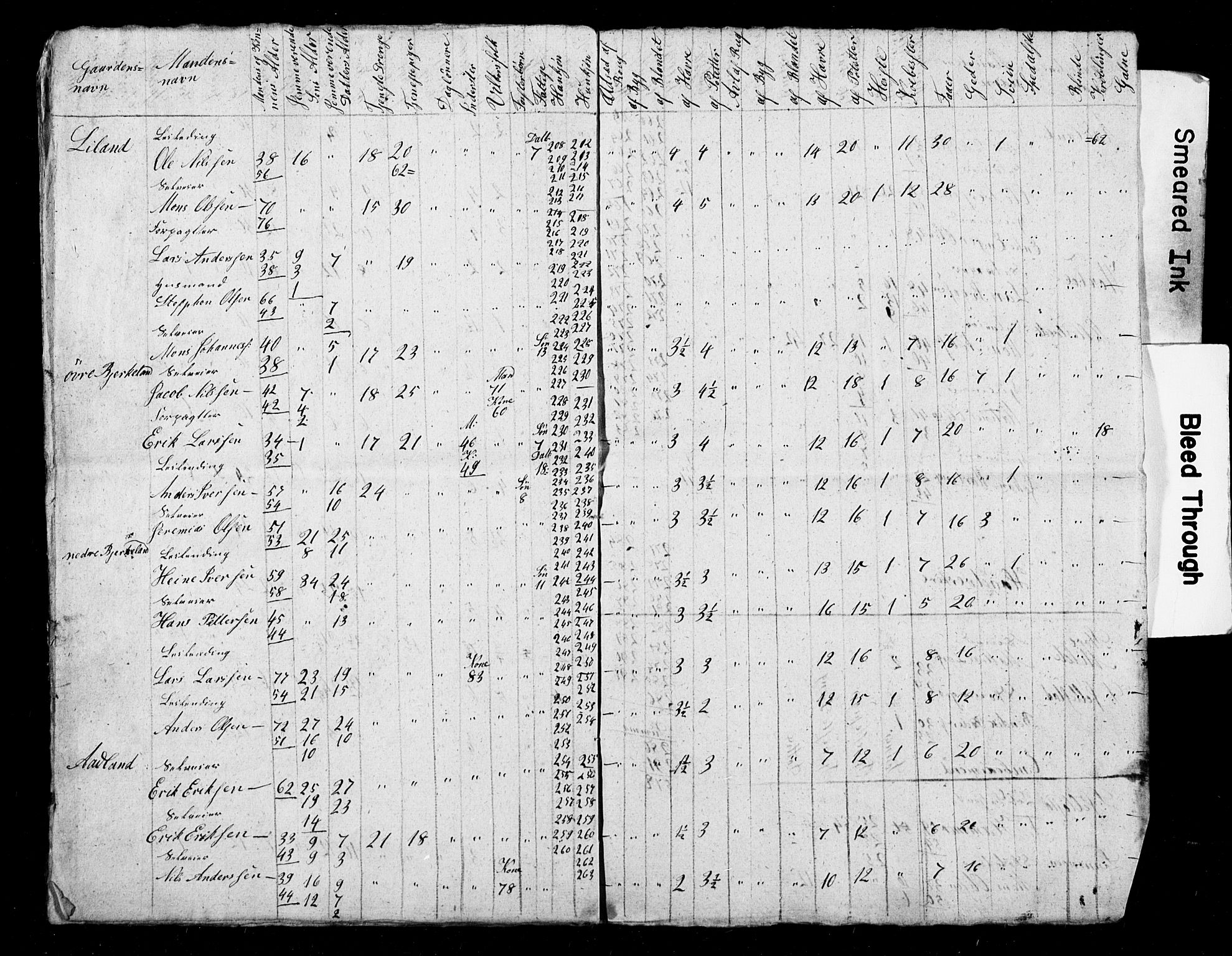 , Census 1845 for Fana, 1845, p. 20