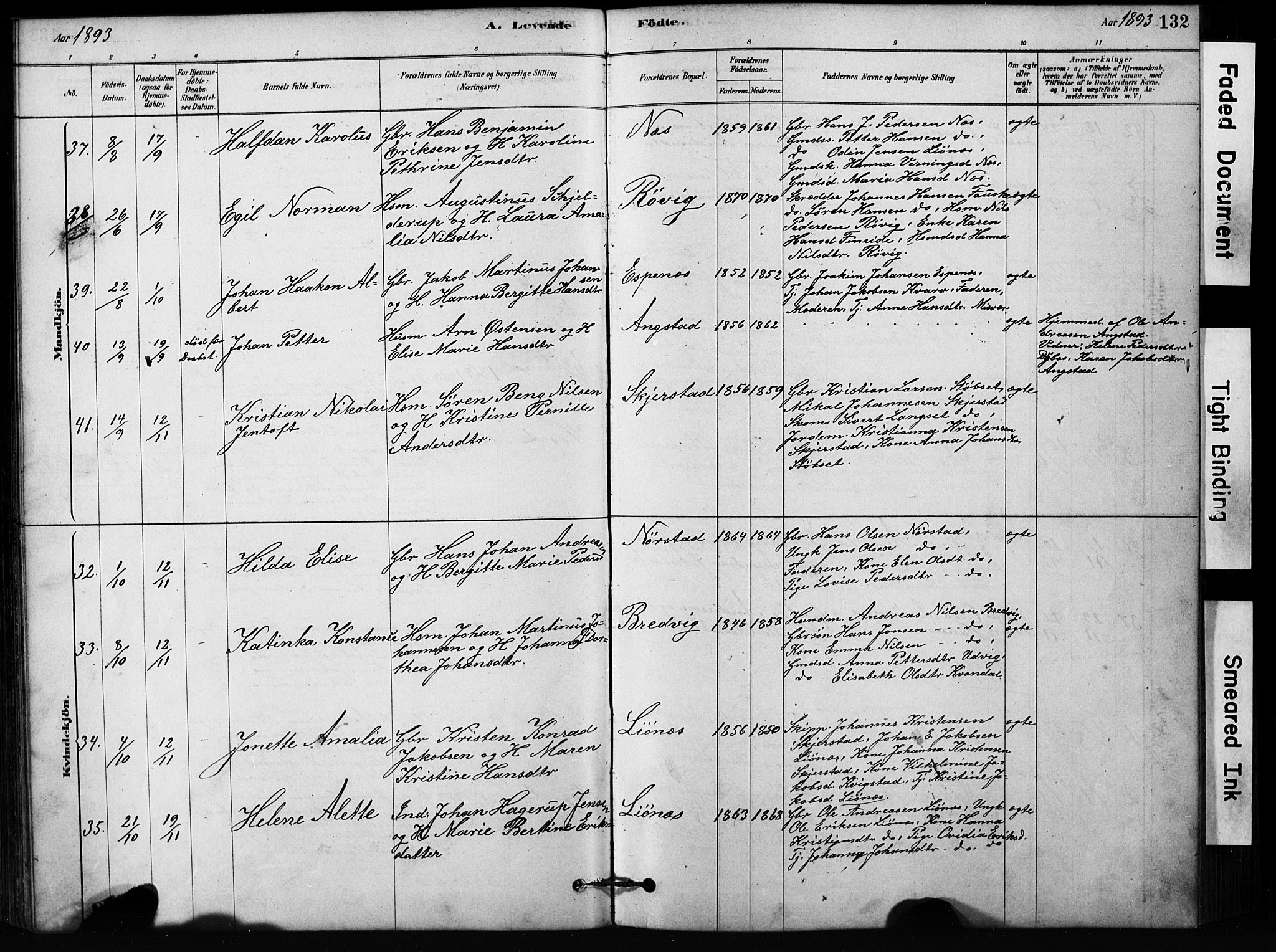 Ministerialprotokoller, klokkerbøker og fødselsregistre - Nordland, AV/SAT-A-1459/852/L0754: Parish register (copy) no. 852C05, 1878-1894, p. 132