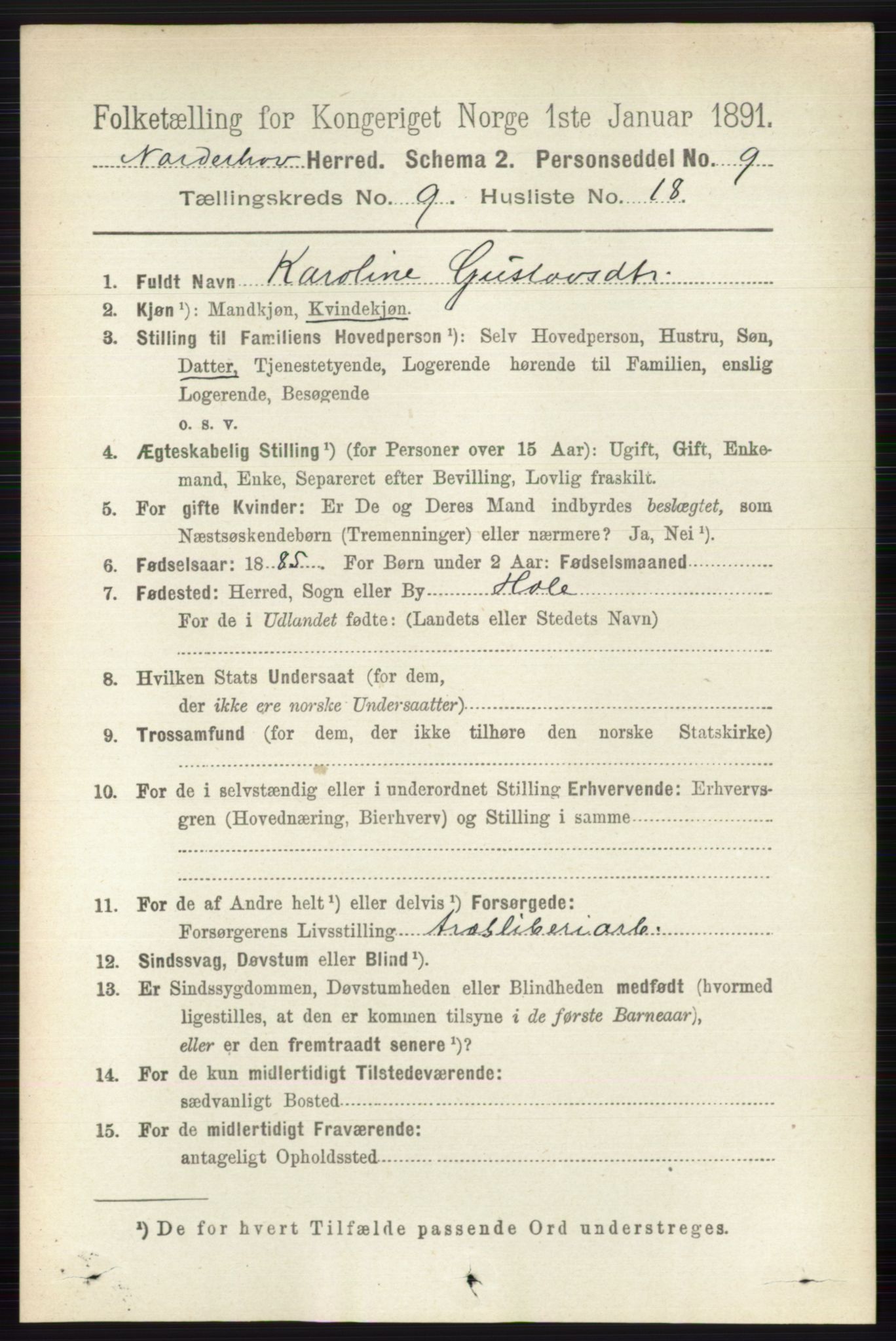 RA, 1891 census for 0613 Norderhov, 1891, p. 6723