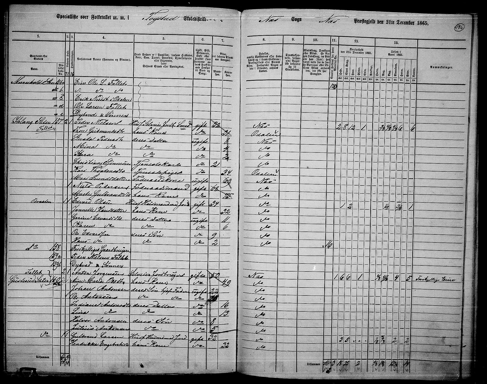 RA, 1865 census for Nes, 1865, p. 169