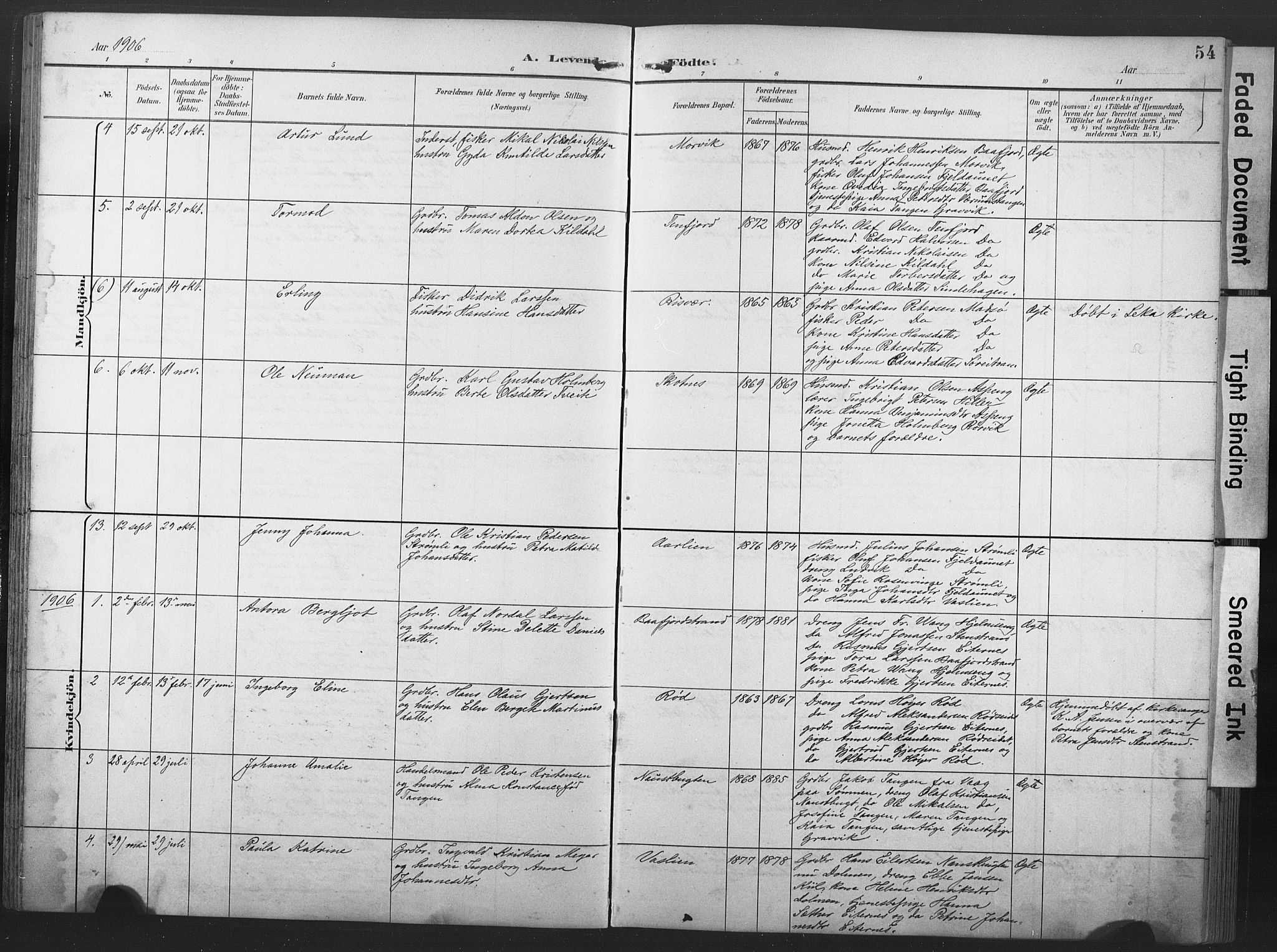 Ministerialprotokoller, klokkerbøker og fødselsregistre - Nord-Trøndelag, SAT/A-1458/789/L0706: Parish register (copy) no. 789C01, 1888-1931, p. 54