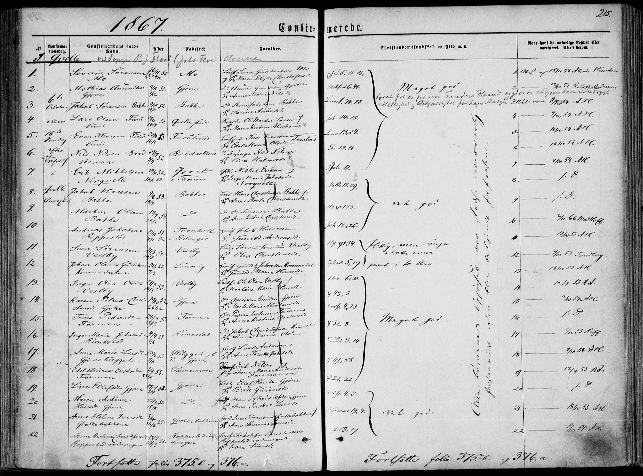 Hedrum kirkebøker, AV/SAKO-A-344/F/Fa/L0007: Parish register (official) no. I 7, 1857-1868, p. 215