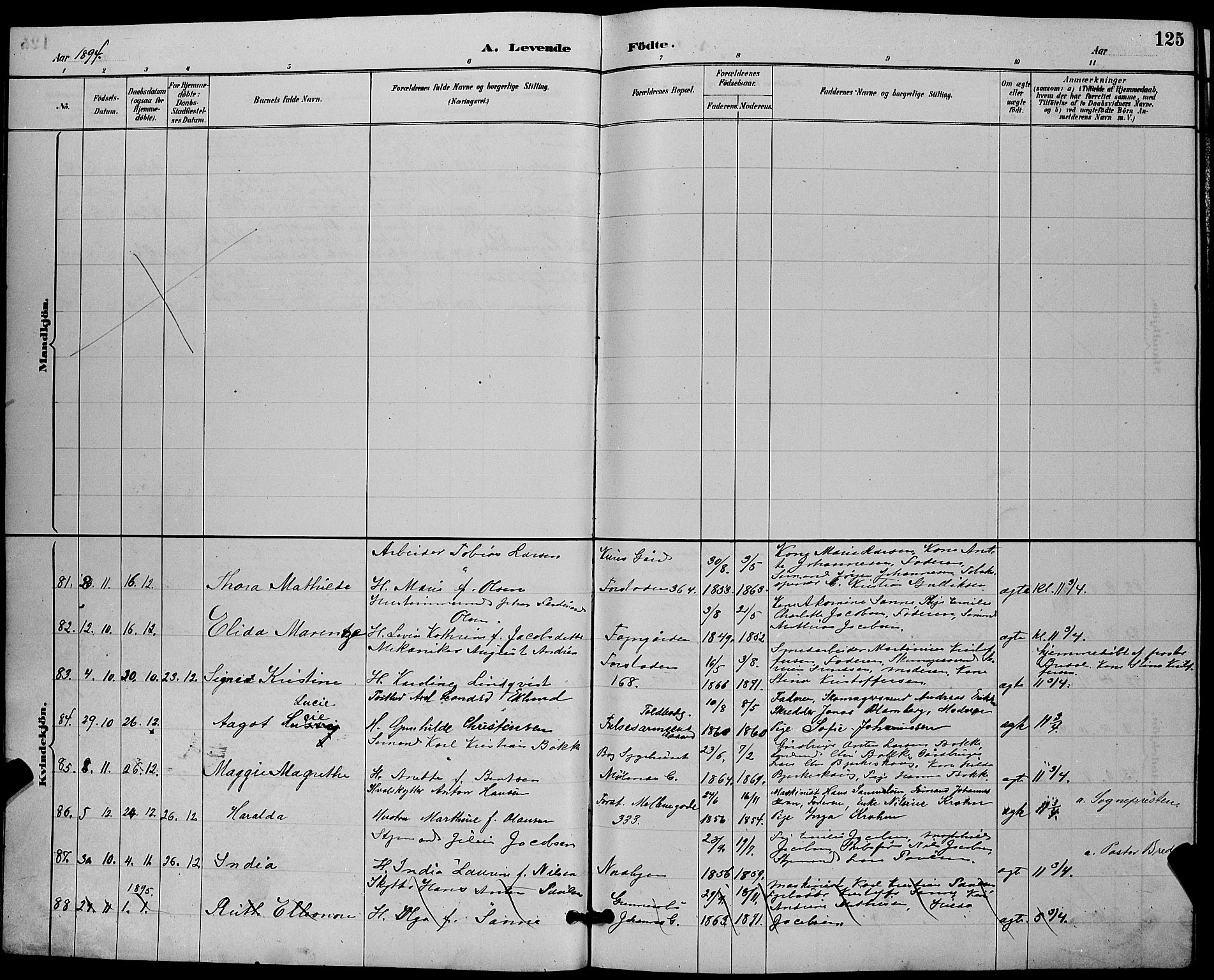 Tønsberg kirkebøker, AV/SAKO-A-330/G/Ga/L0006: Parish register (copy) no. 6, 1885-1895, p. 125