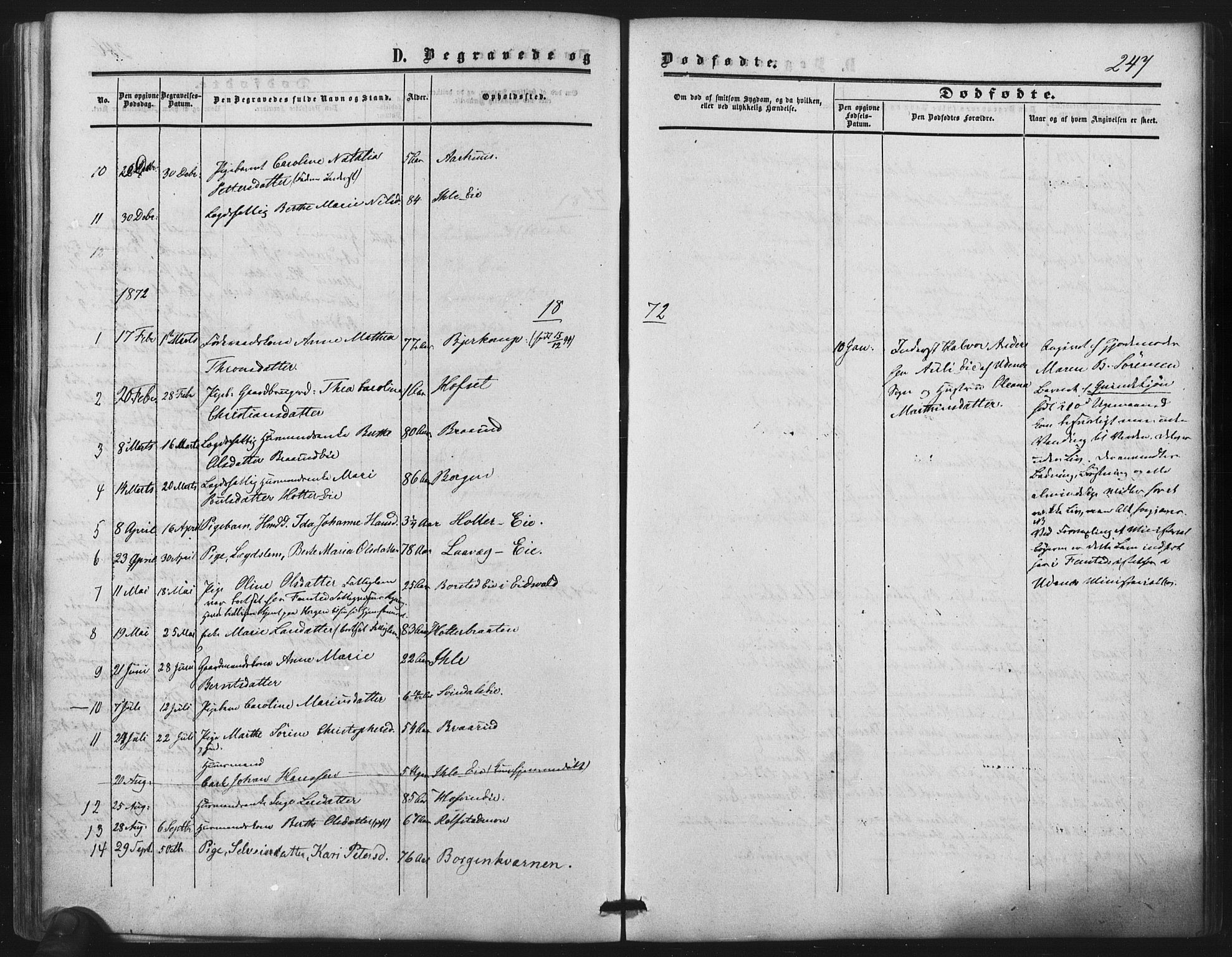 Nes prestekontor Kirkebøker, SAO/A-10410/F/Fb/L0001: Parish register (official) no. II 1, 1859-1882, p. 247