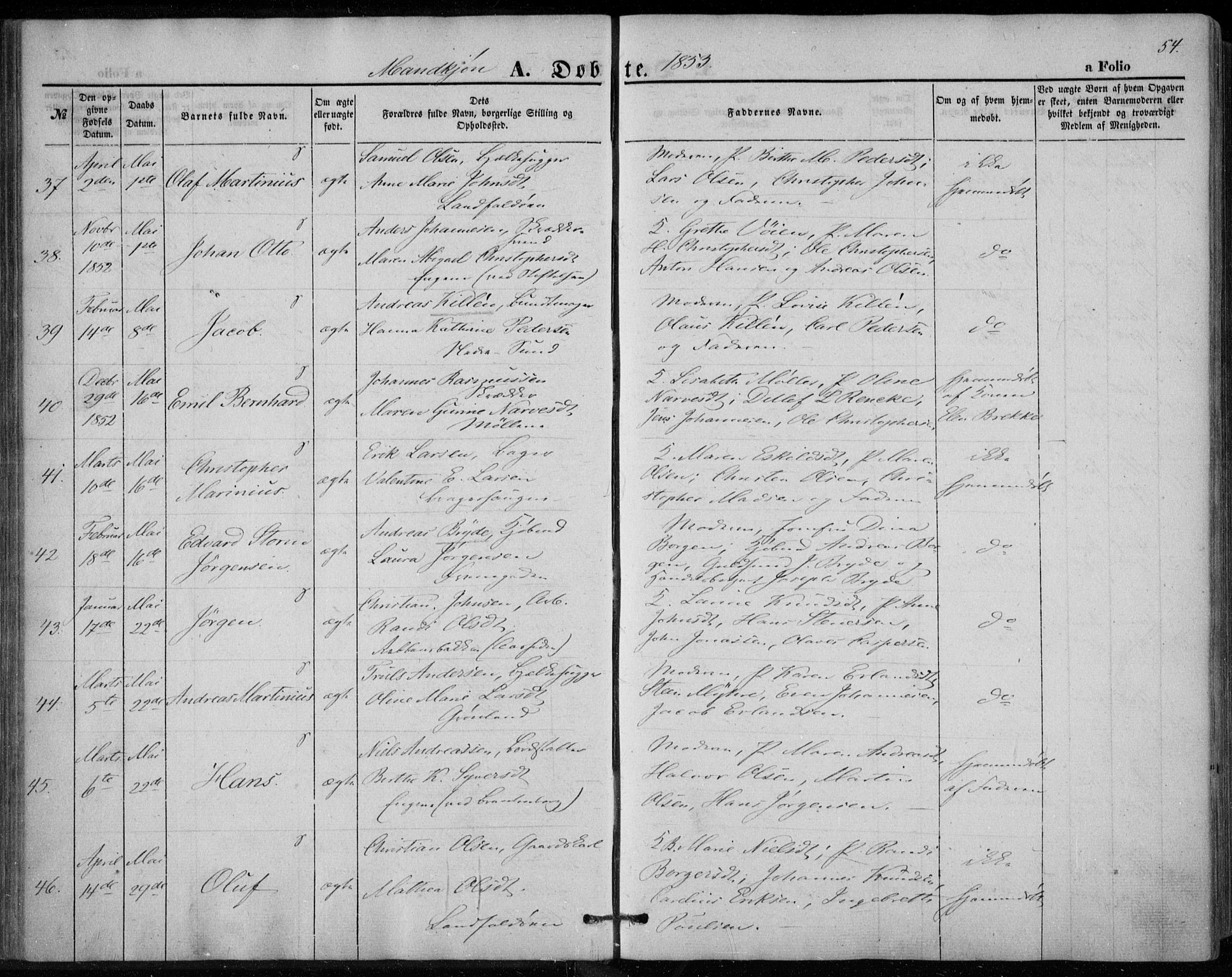 Bragernes kirkebøker, AV/SAKO-A-6/F/Fb/L0002: Parish register (official) no. II 2, 1848-1859, p. 54