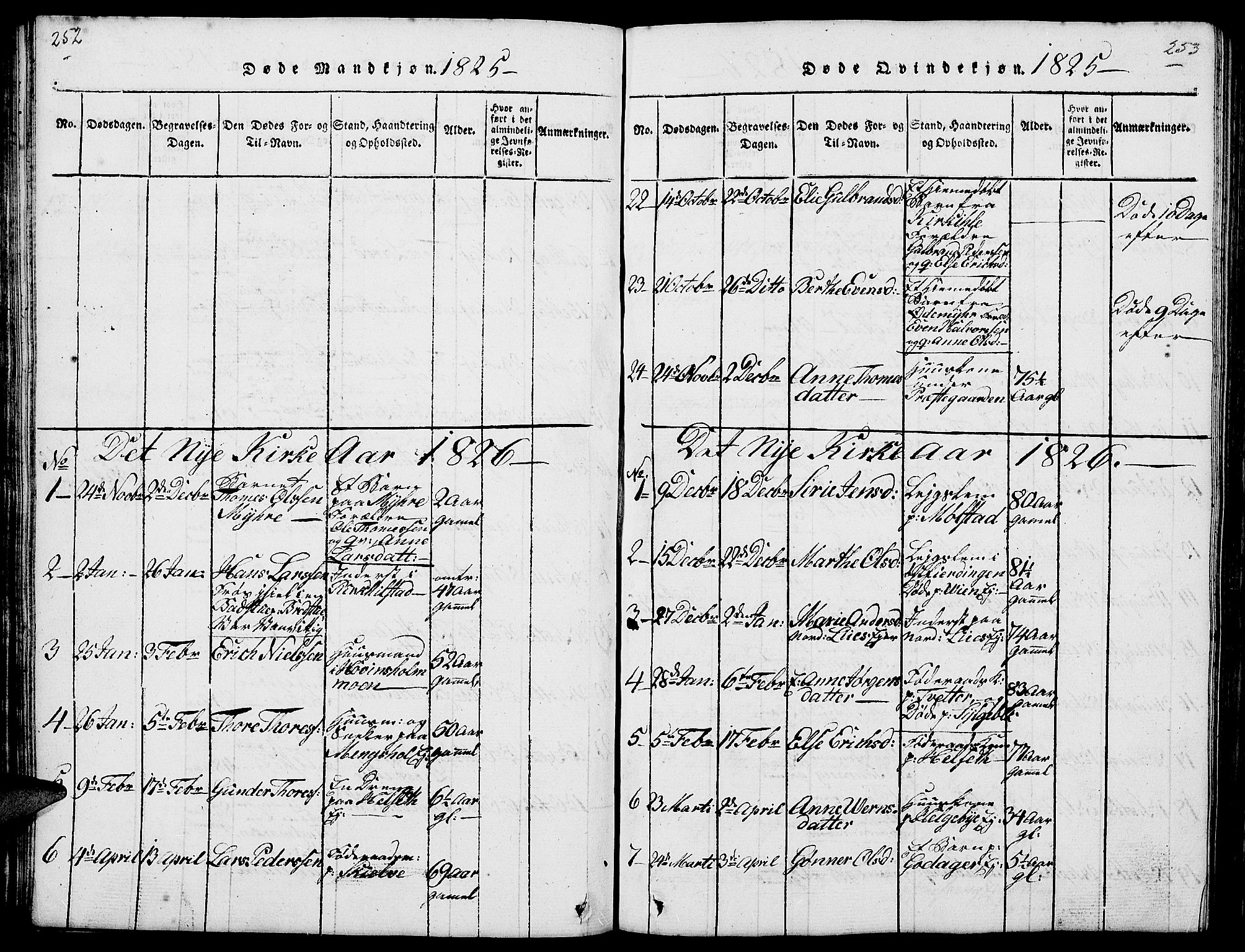 Nes prestekontor, Hedmark, AV/SAH-PREST-020/L/La/L0003: Parish register (copy) no. 3, 1814-1831, p. 252-253