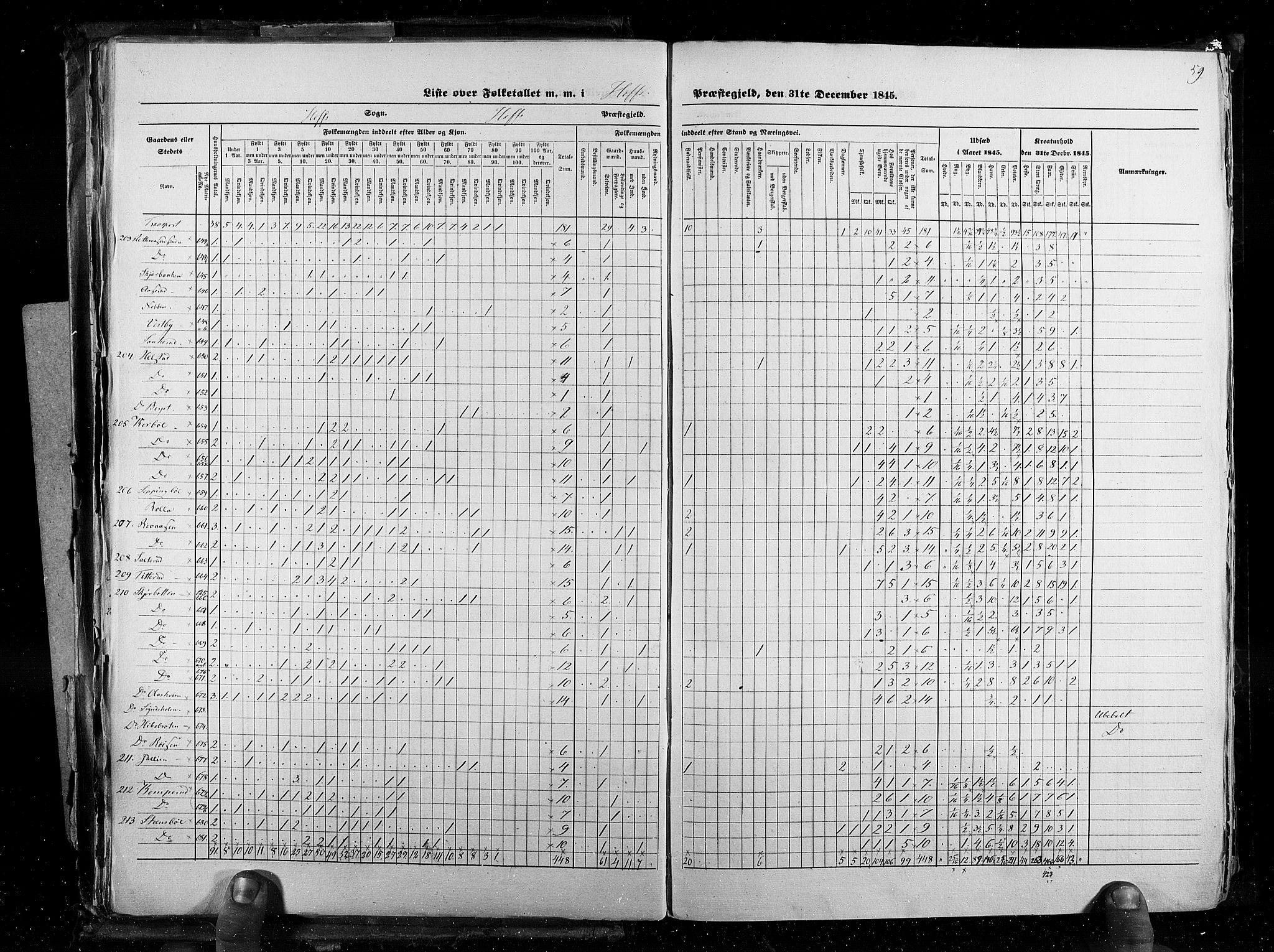 RA, Census 1845, vol. 3: Hedemarken amt og Kristians amt, 1845, p. 59