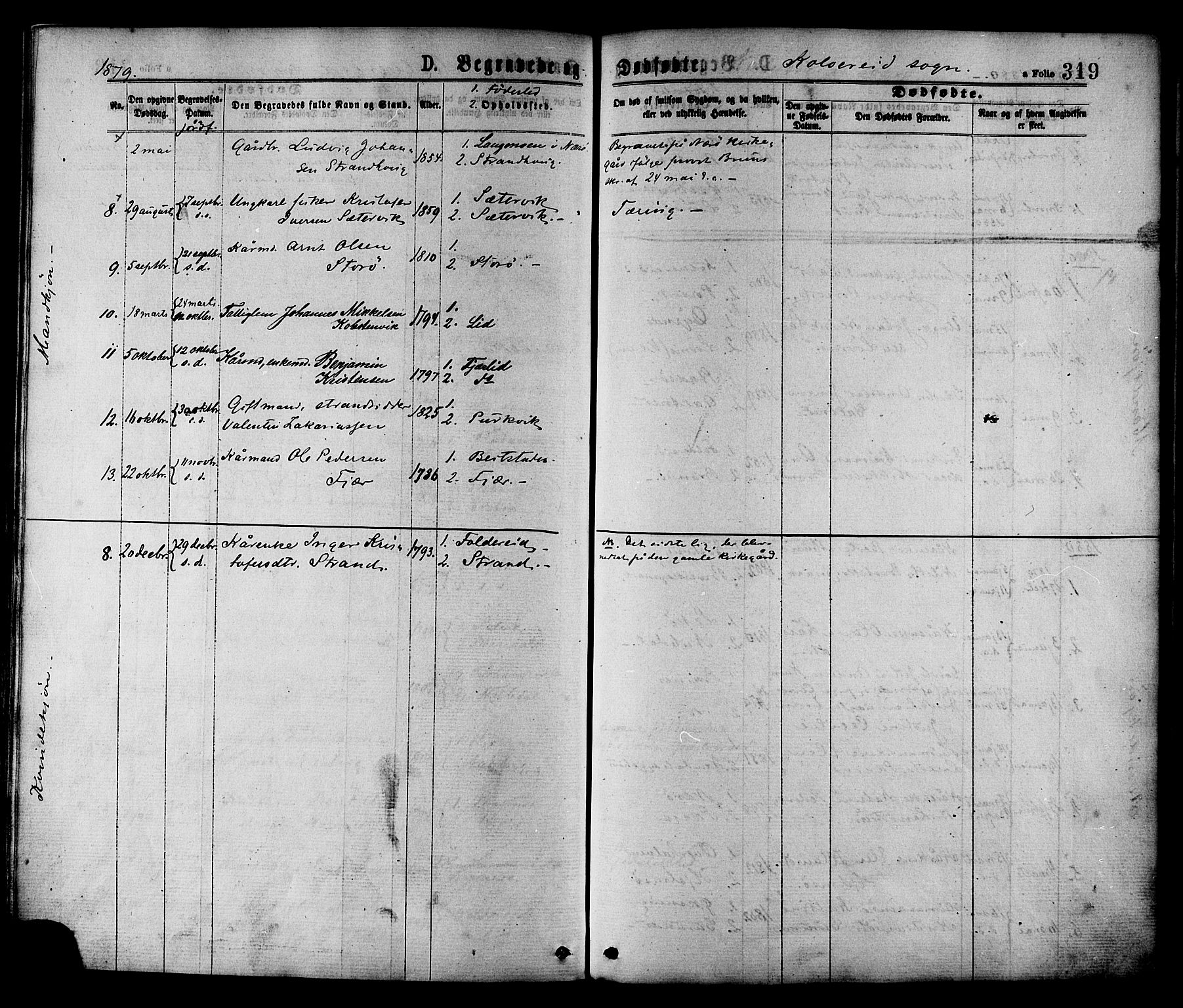 Ministerialprotokoller, klokkerbøker og fødselsregistre - Nord-Trøndelag, AV/SAT-A-1458/780/L0642: Parish register (official) no. 780A07 /1, 1874-1885, p. 319