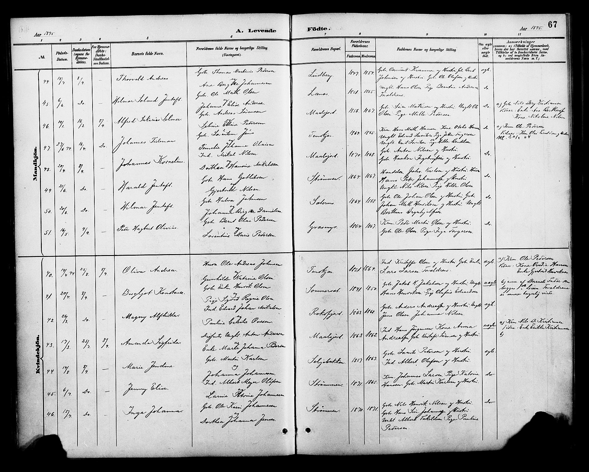 Lenvik sokneprestembete, SATØ/S-1310/H/Ha/Haa/L0013kirke: Parish register (official) no. 13, 1890-1898, p. 67