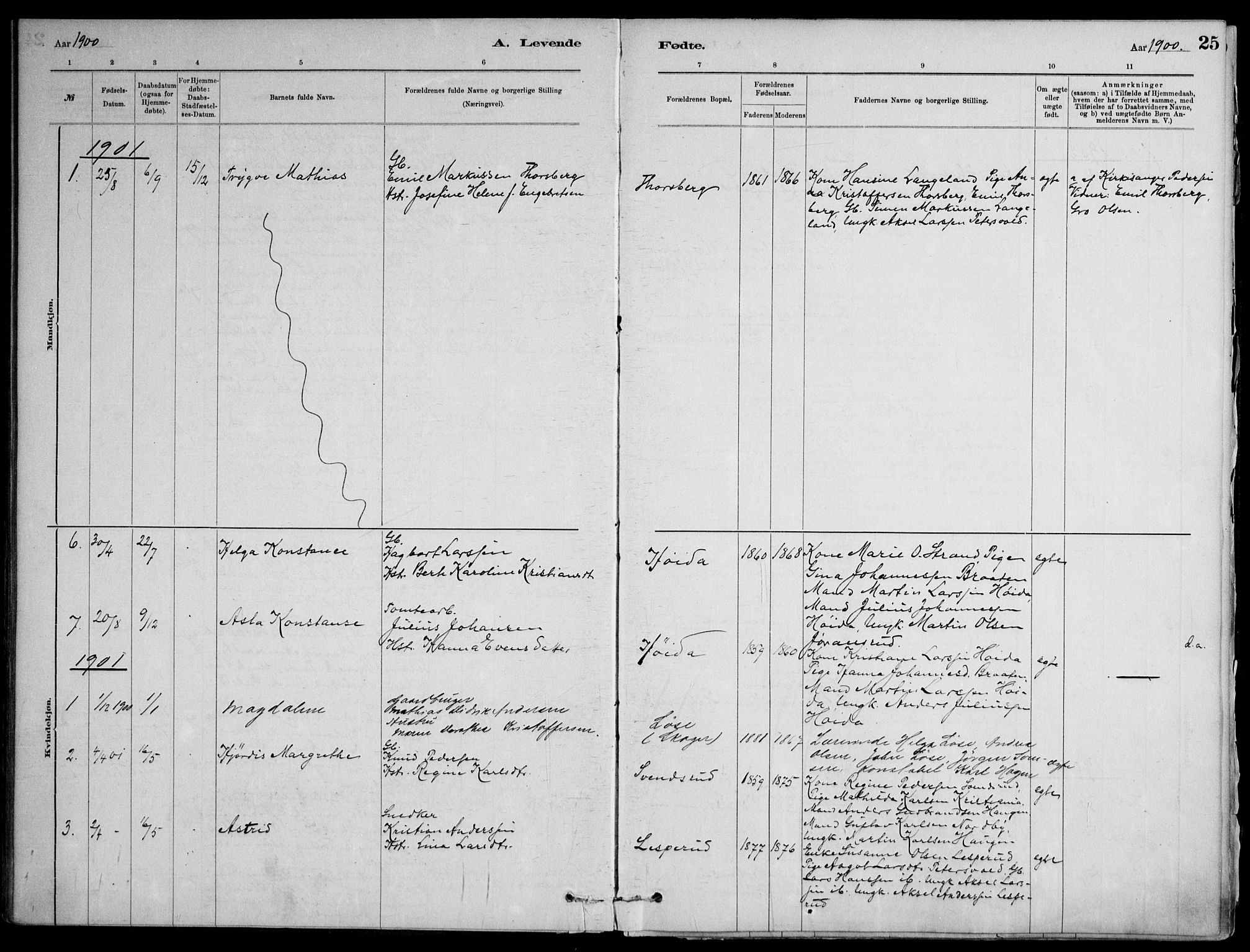 Skoger kirkebøker, SAKO/A-59/F/Fb/L0001: Parish register (official) no. II 1, 1885-1913, p. 25