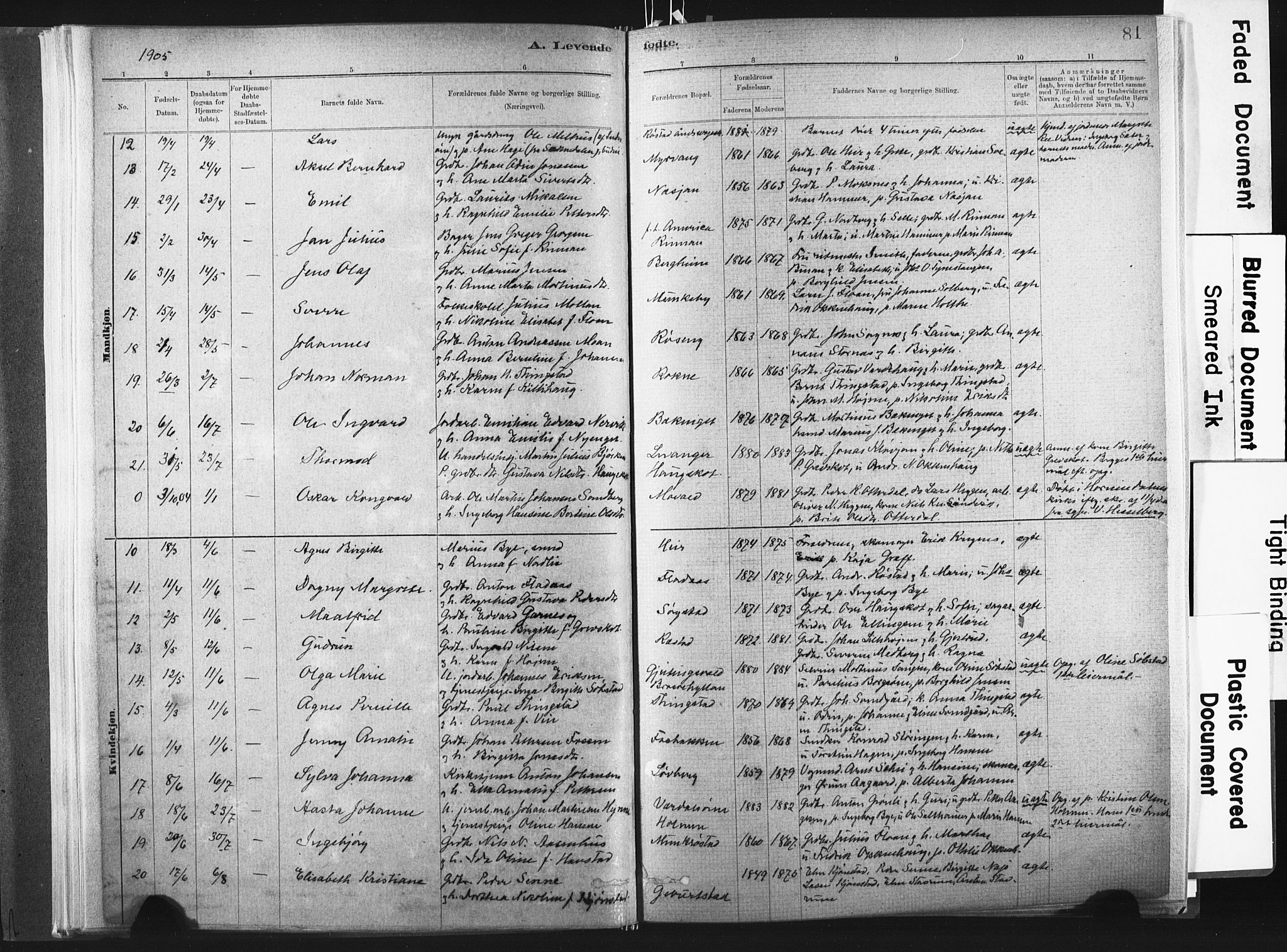 Ministerialprotokoller, klokkerbøker og fødselsregistre - Nord-Trøndelag, SAT/A-1458/721/L0207: Parish register (official) no. 721A02, 1880-1911, p. 81